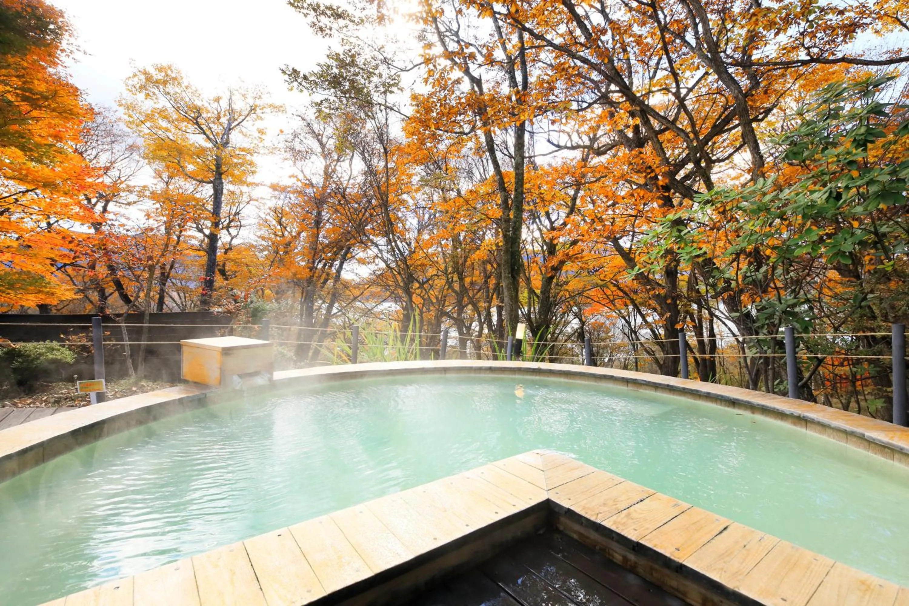 Hot Spring Bath in Hotel Shikisai
