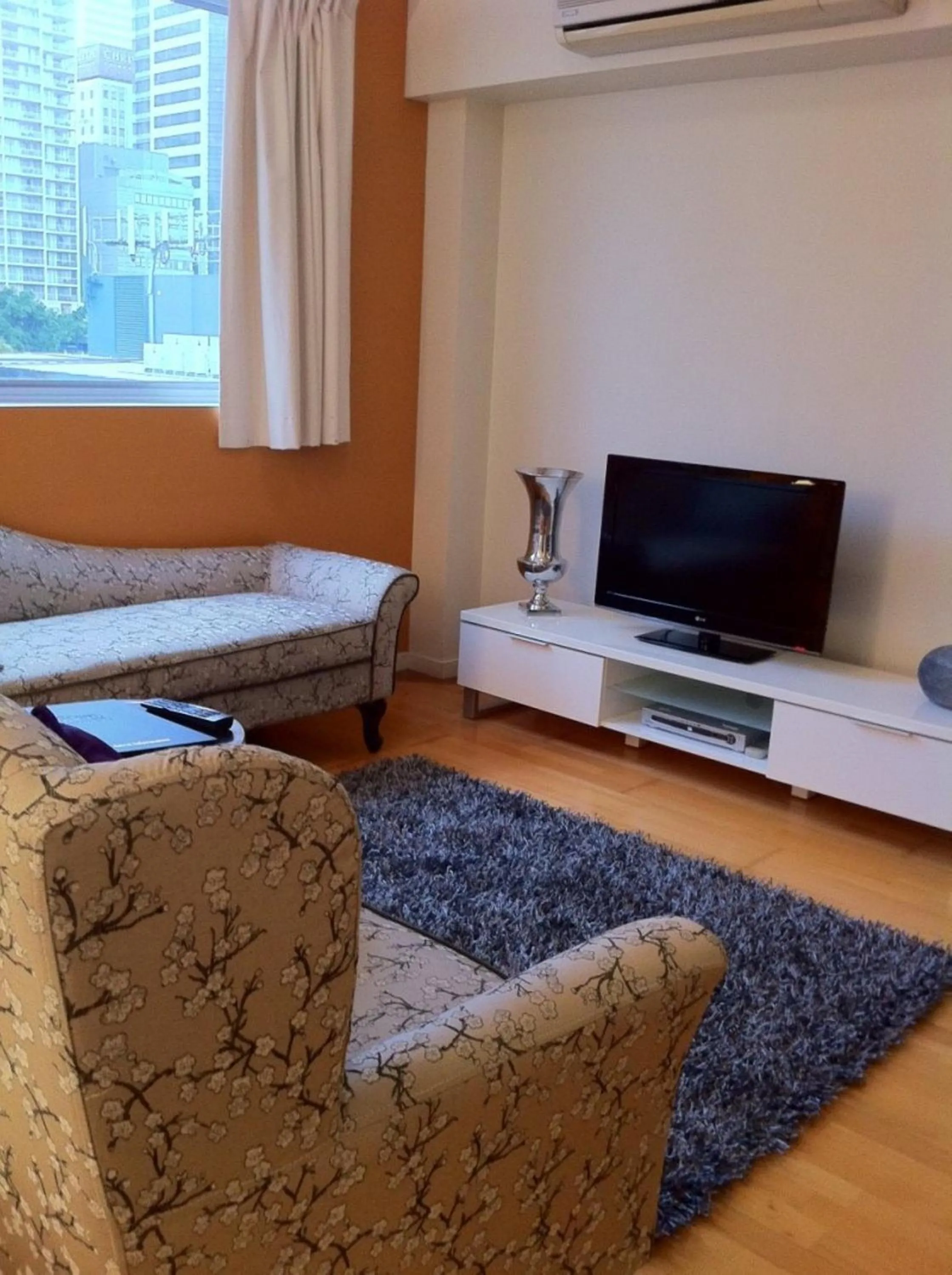 TV and multimedia in Frisco Apartments