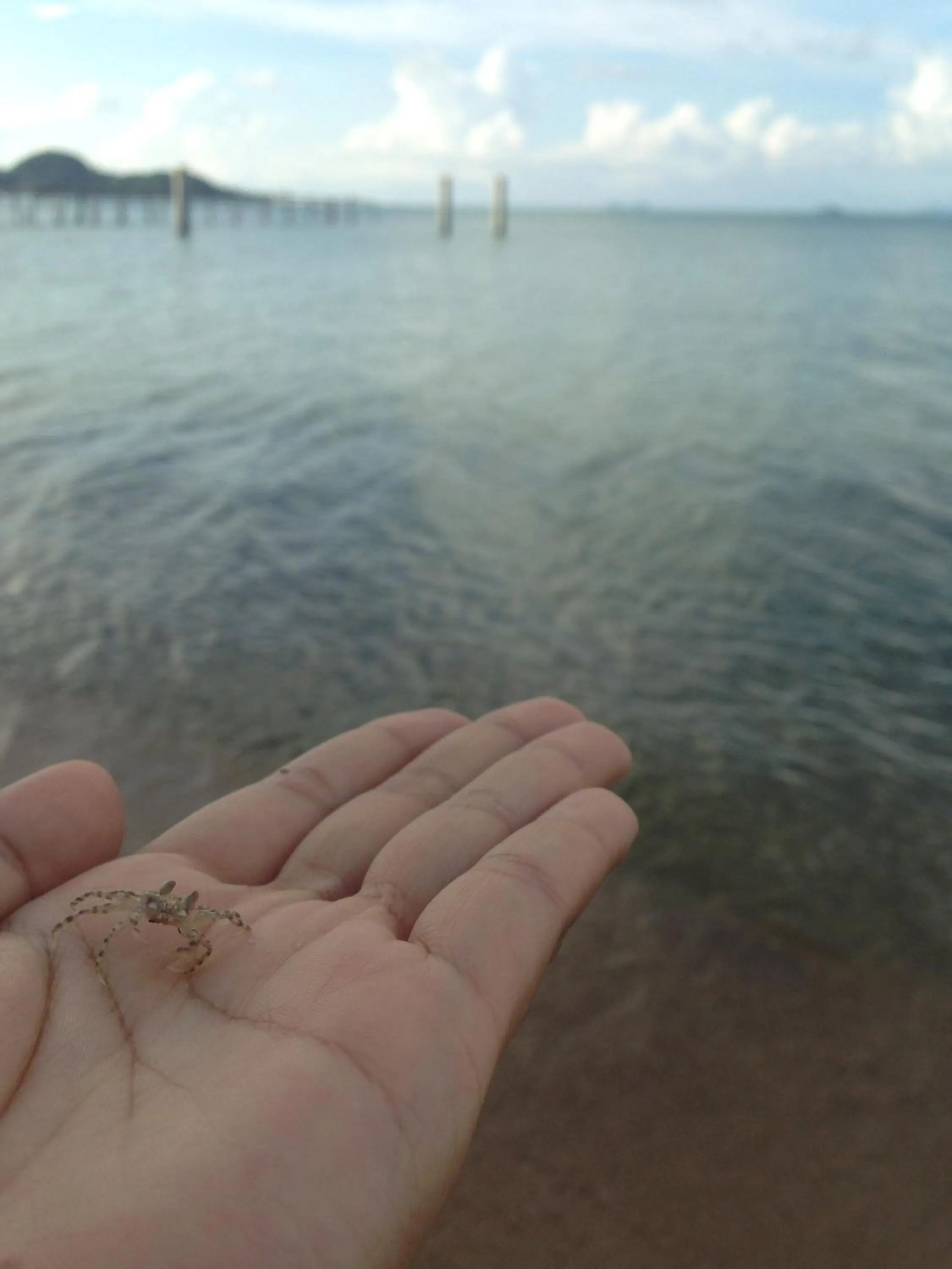 Nearby landmark in Baan Sala Lung Dam - Fisherman Village