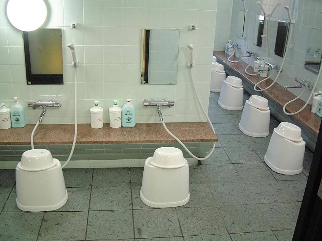Shower in Hotel Famitic Myojin