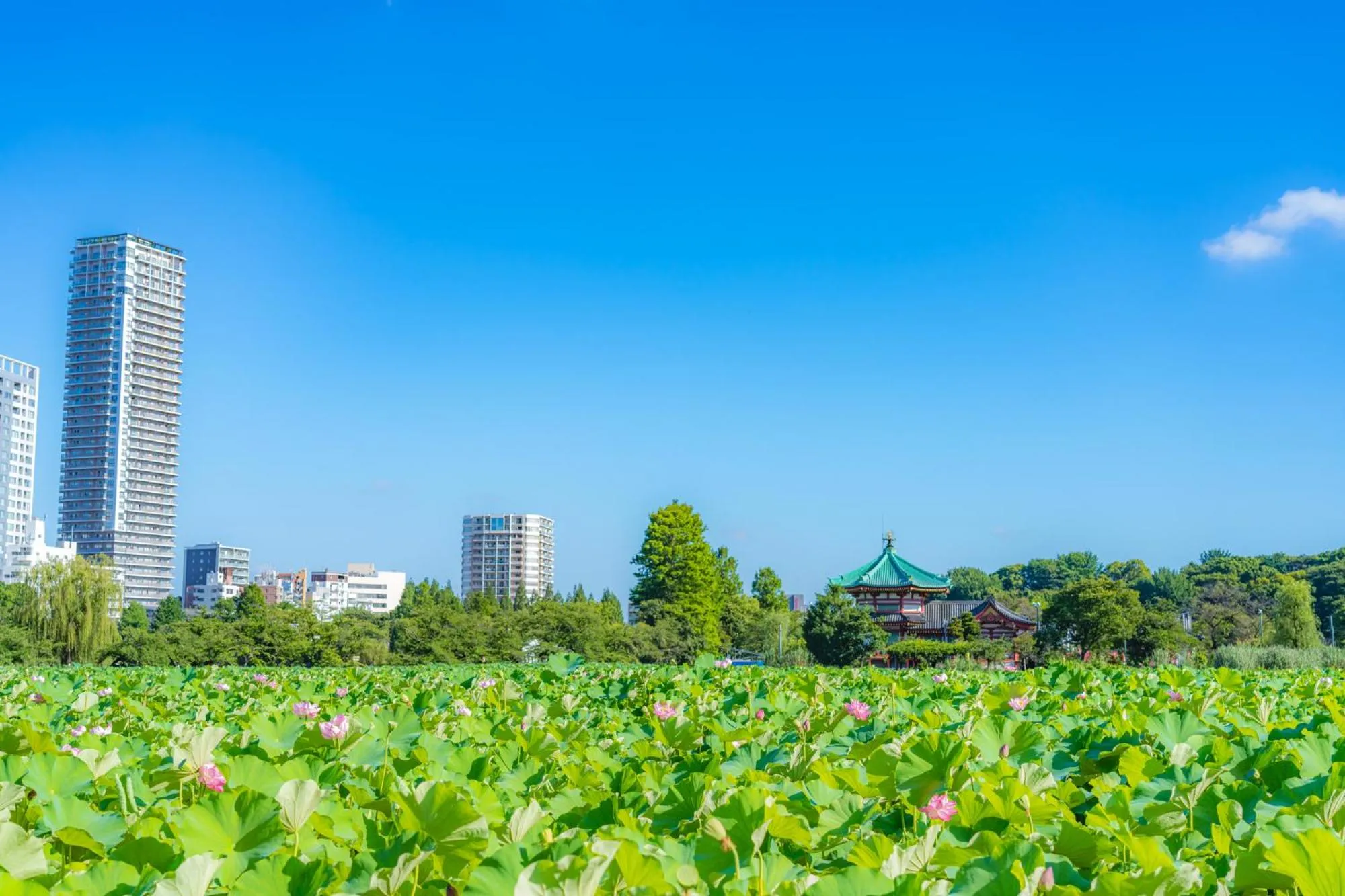 Nearby landmark in Hotel Kangetsuso