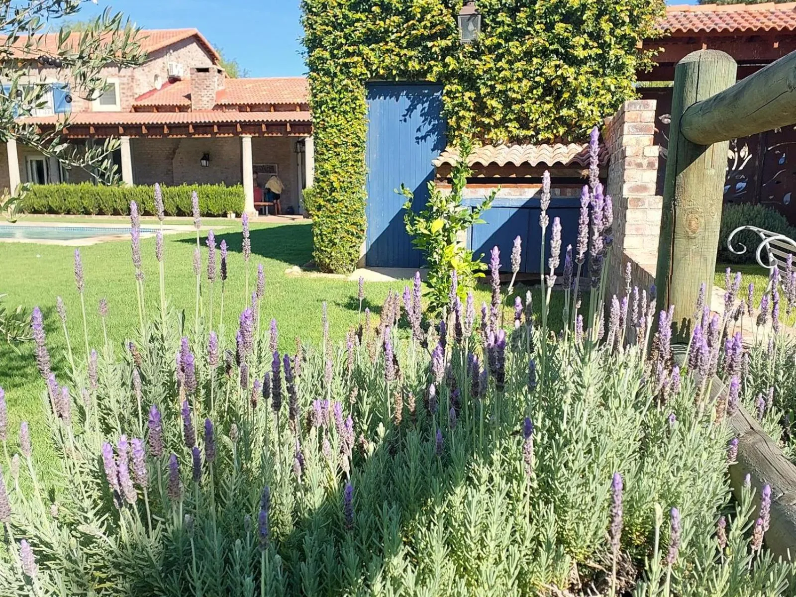 Garden in Hartland Garden Suite