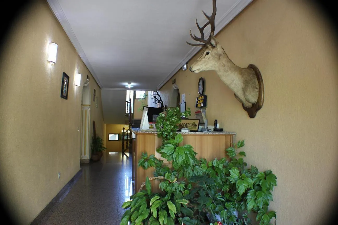 Lobby or reception in Hotel Las Nieves
