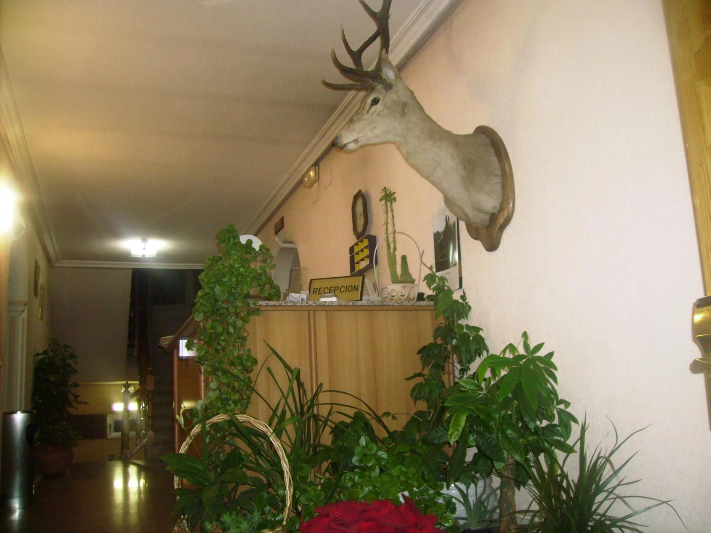 Lobby or reception in Hotel Las Nieves