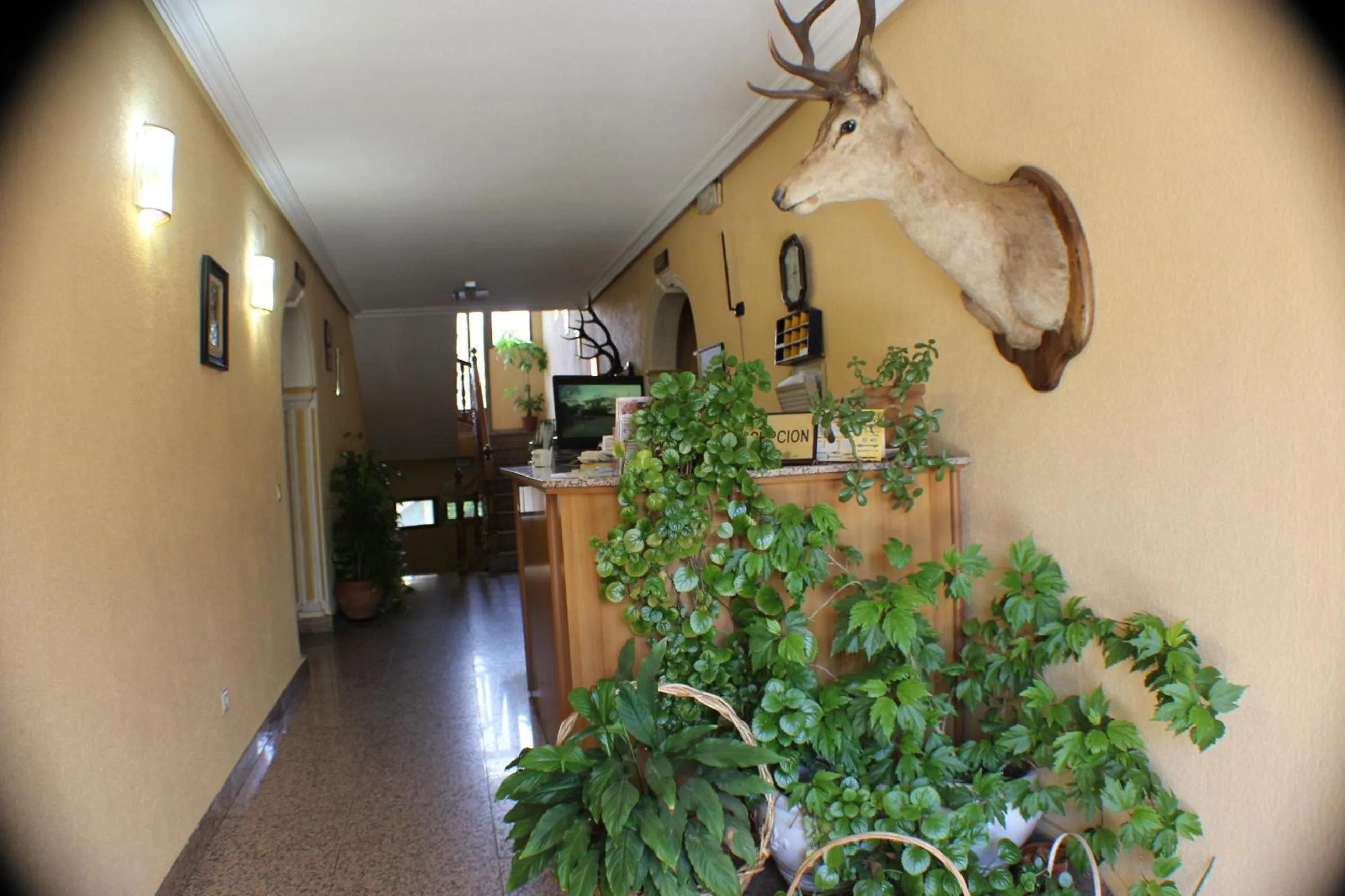 Lobby or reception in Hotel Las Nieves