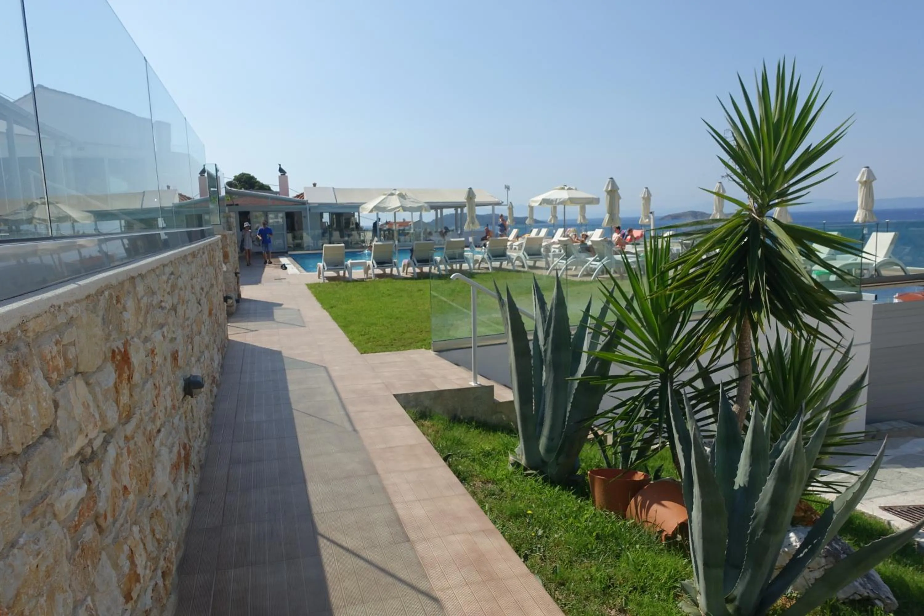 Garden in Hotel Rene