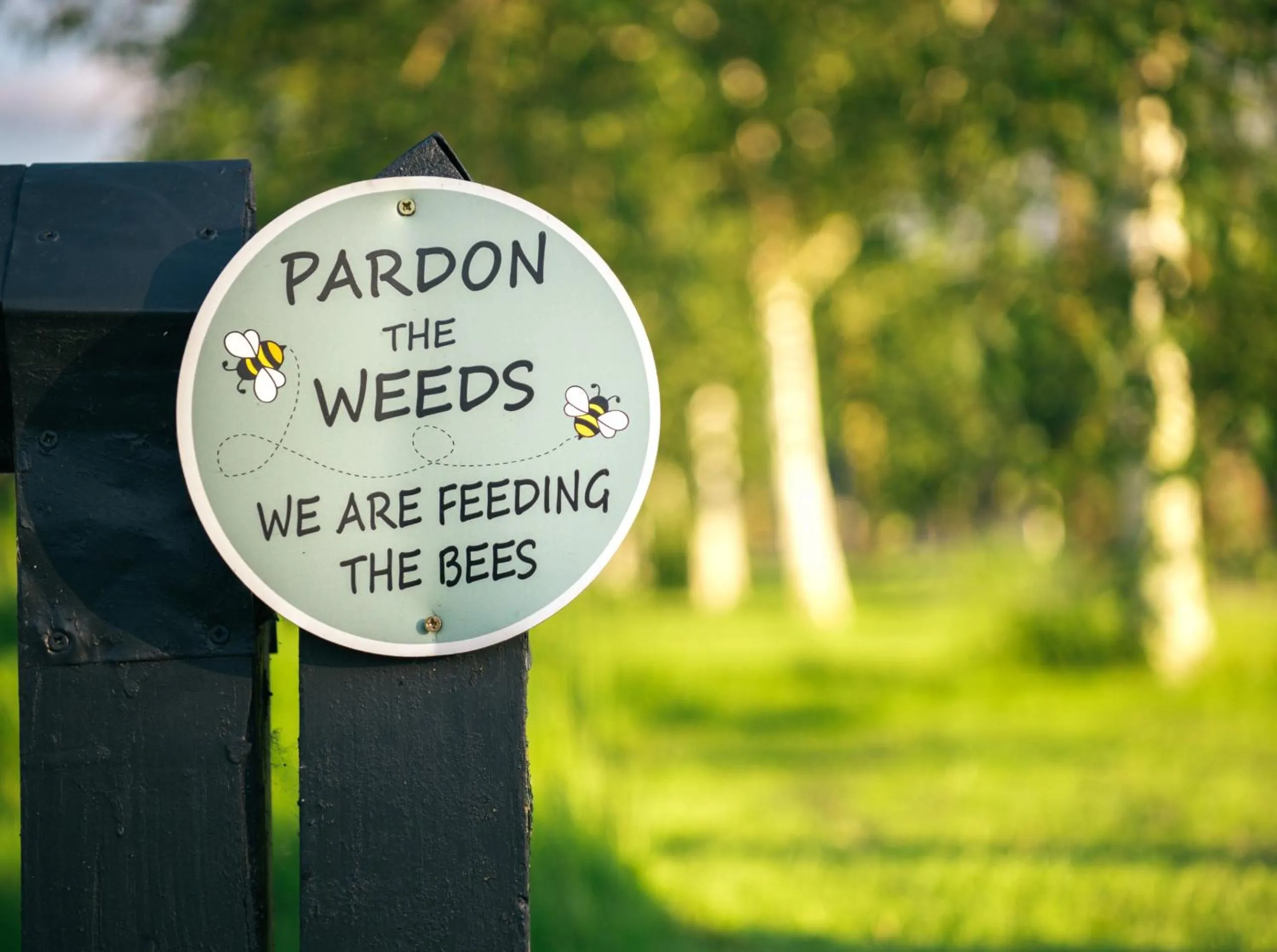 Drift Inn formerly the Waterfront Hotel