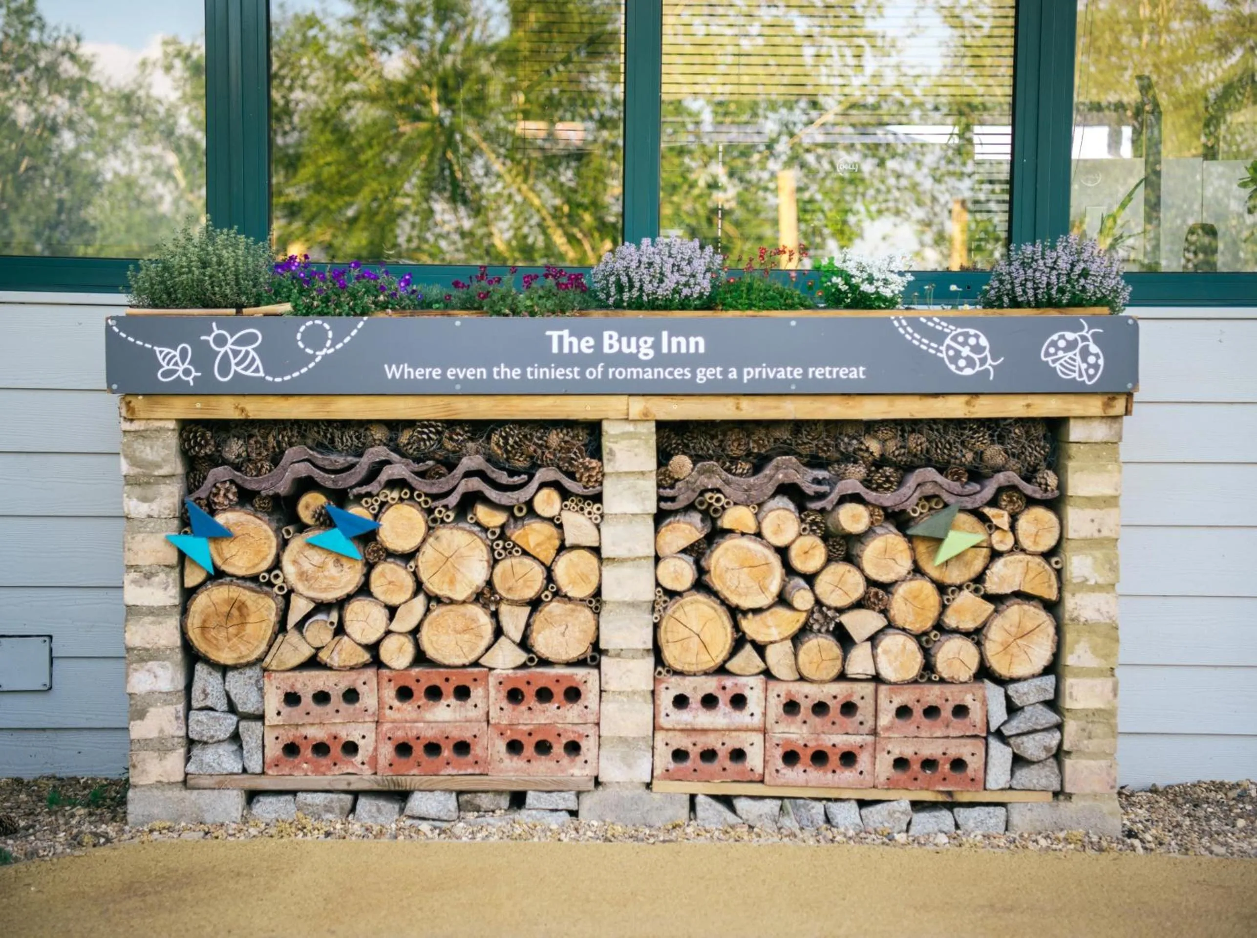 Drift Inn formerly the Waterfront Hotel