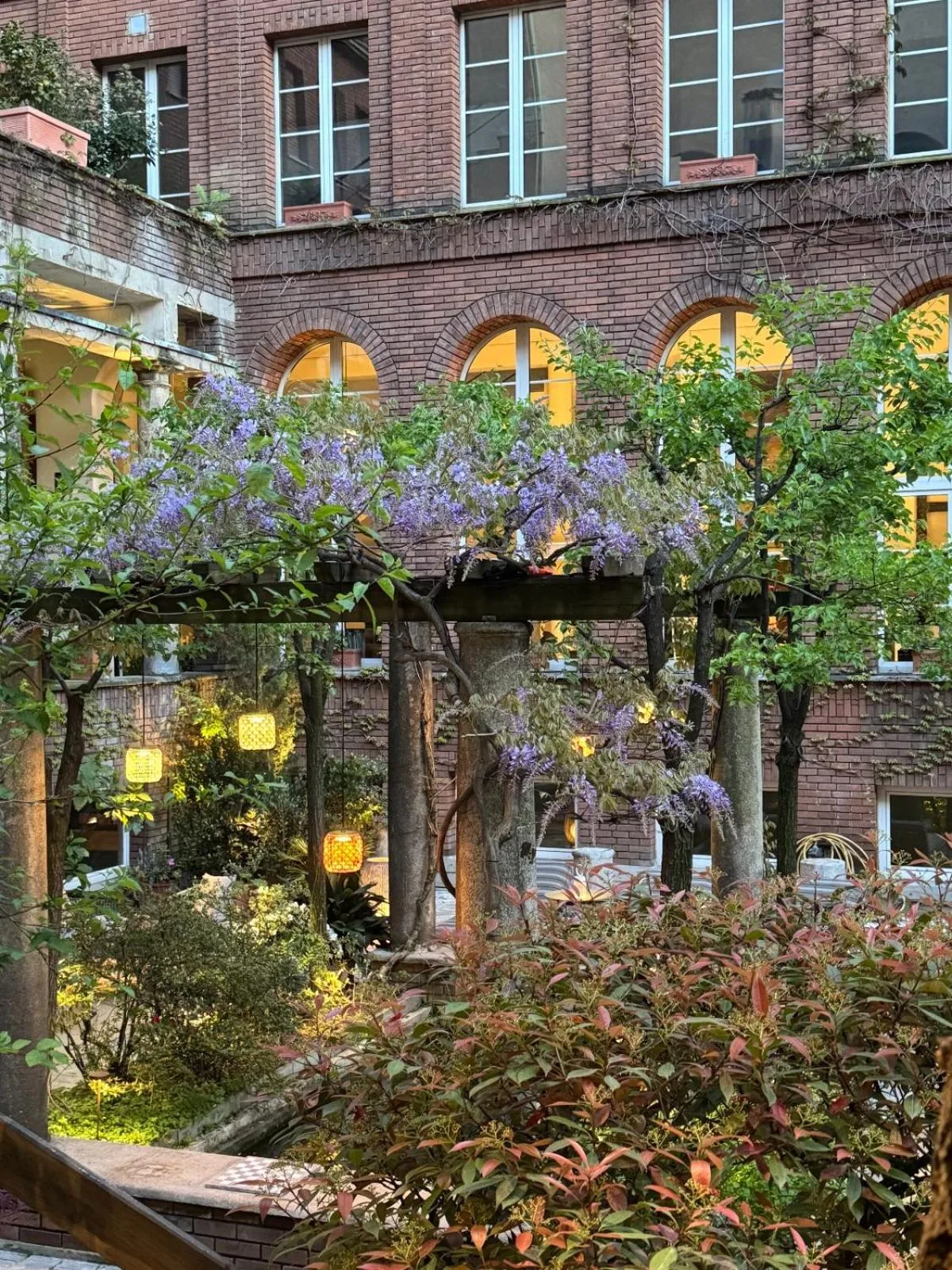 Garden view in NEW GENERATION HOSTEL Milan center