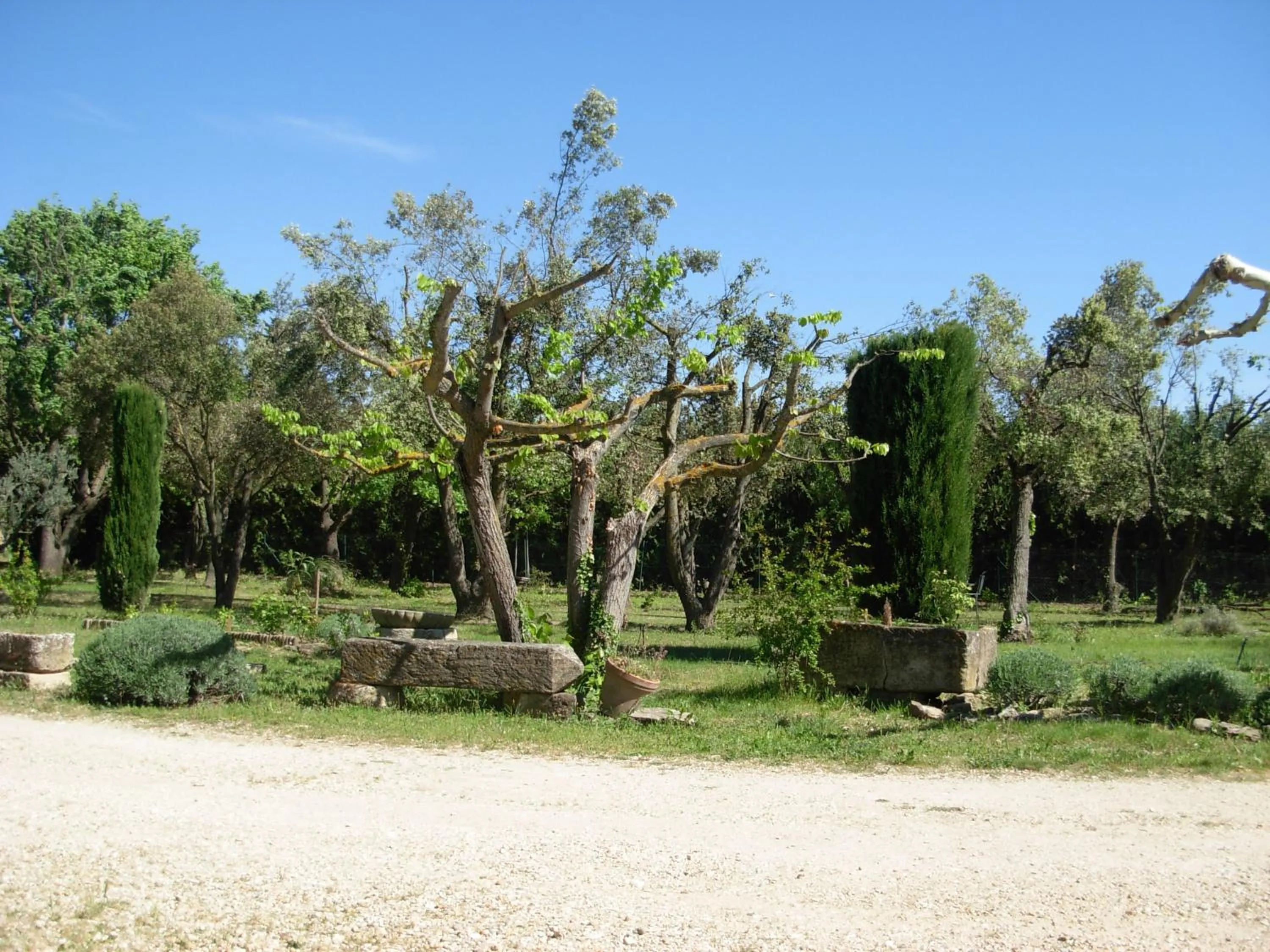 Garden in Mas la Vitalis Chambres D'Hôtes