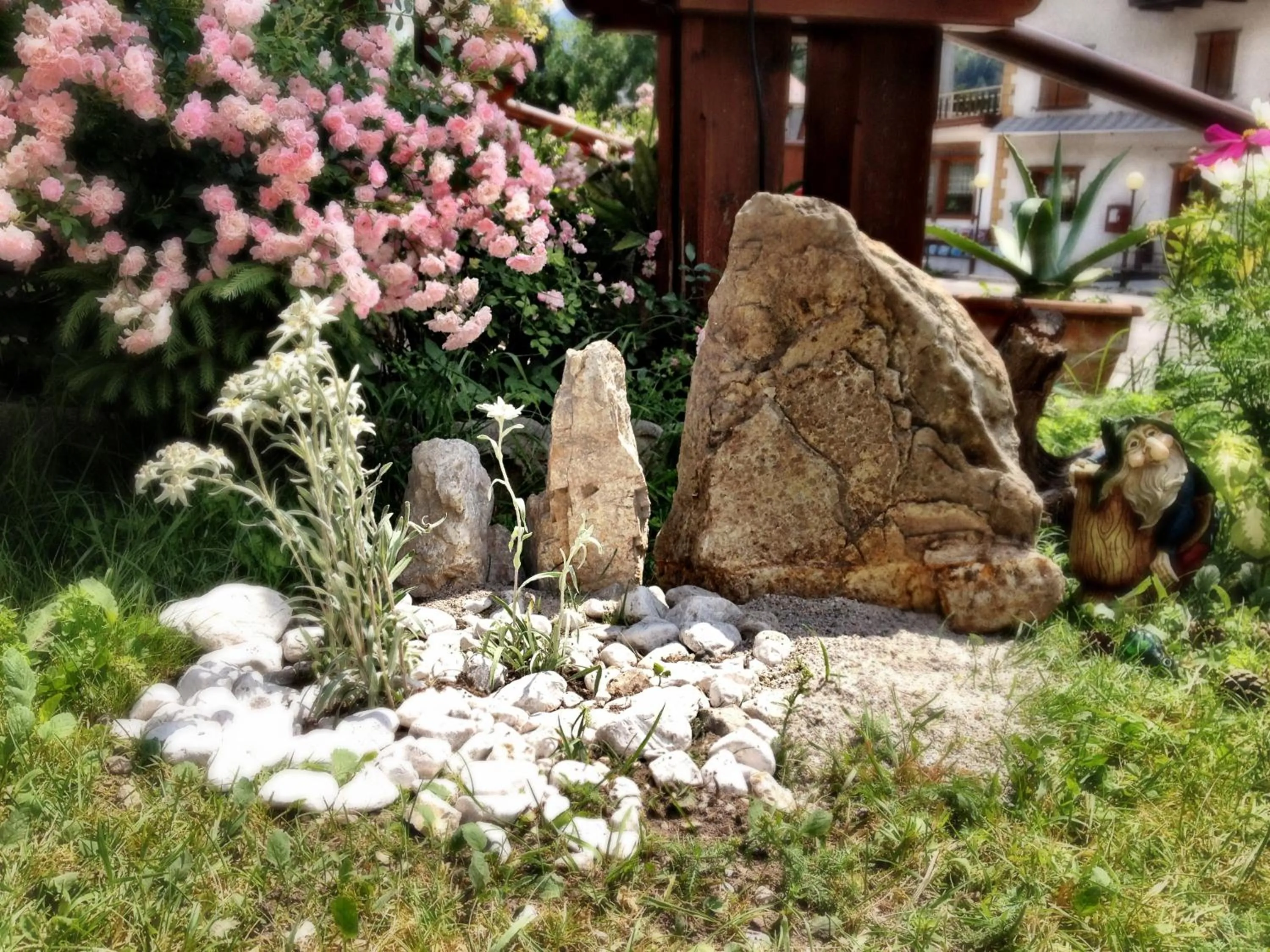 Garden in Hotel al Sole