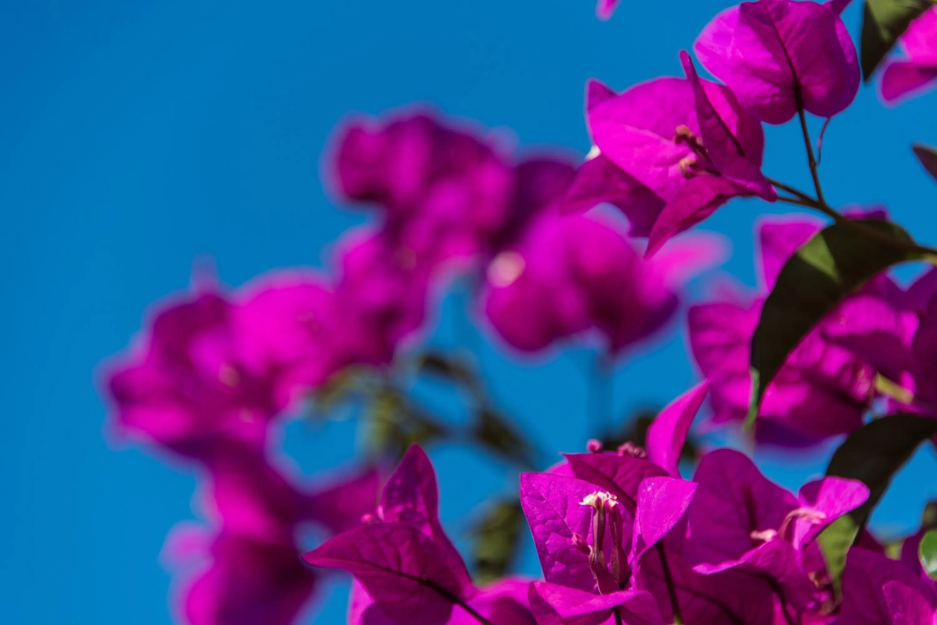 Spring in Keri Village & Spa by Zante Plaza (Adults Only)