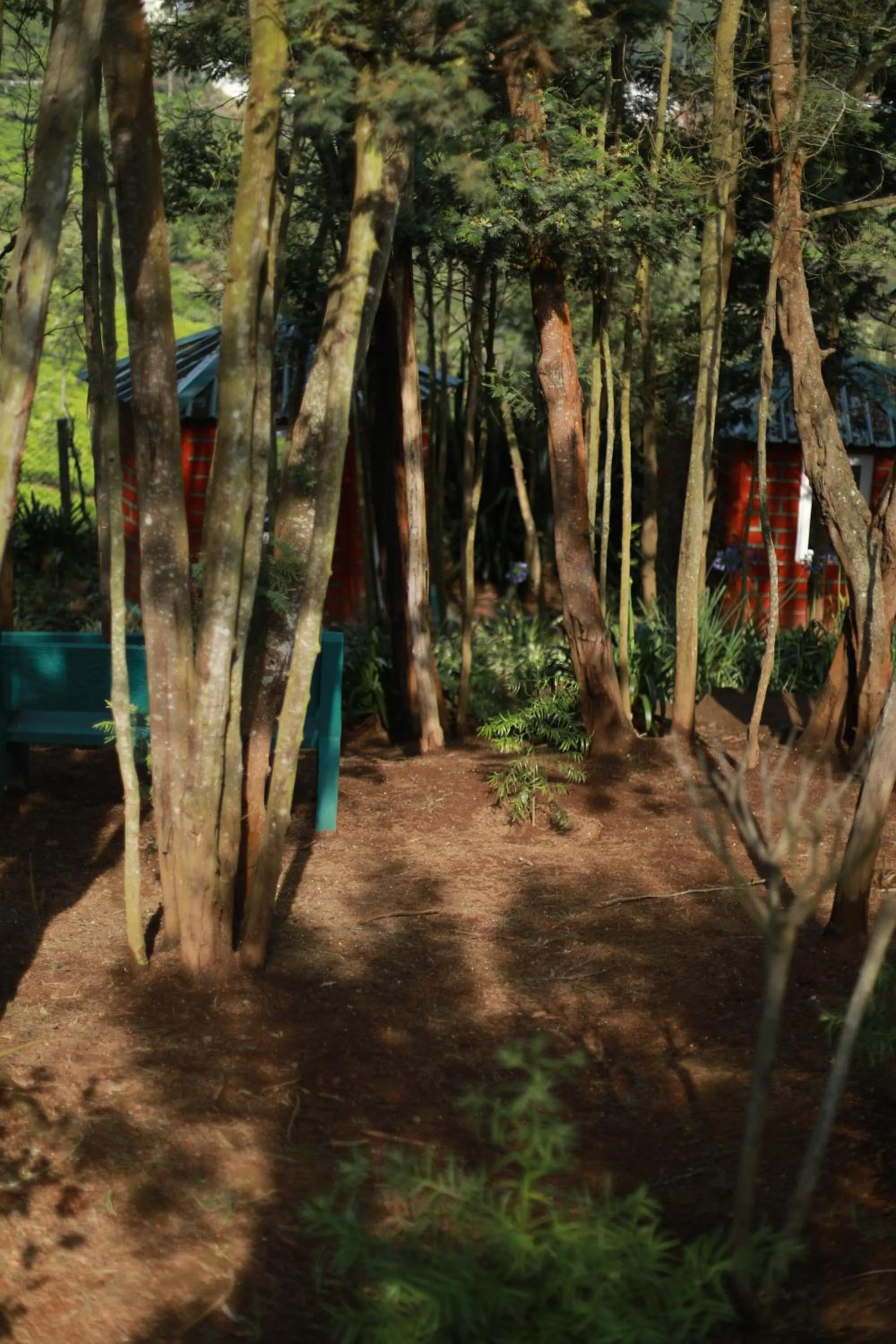 The Den by Trees