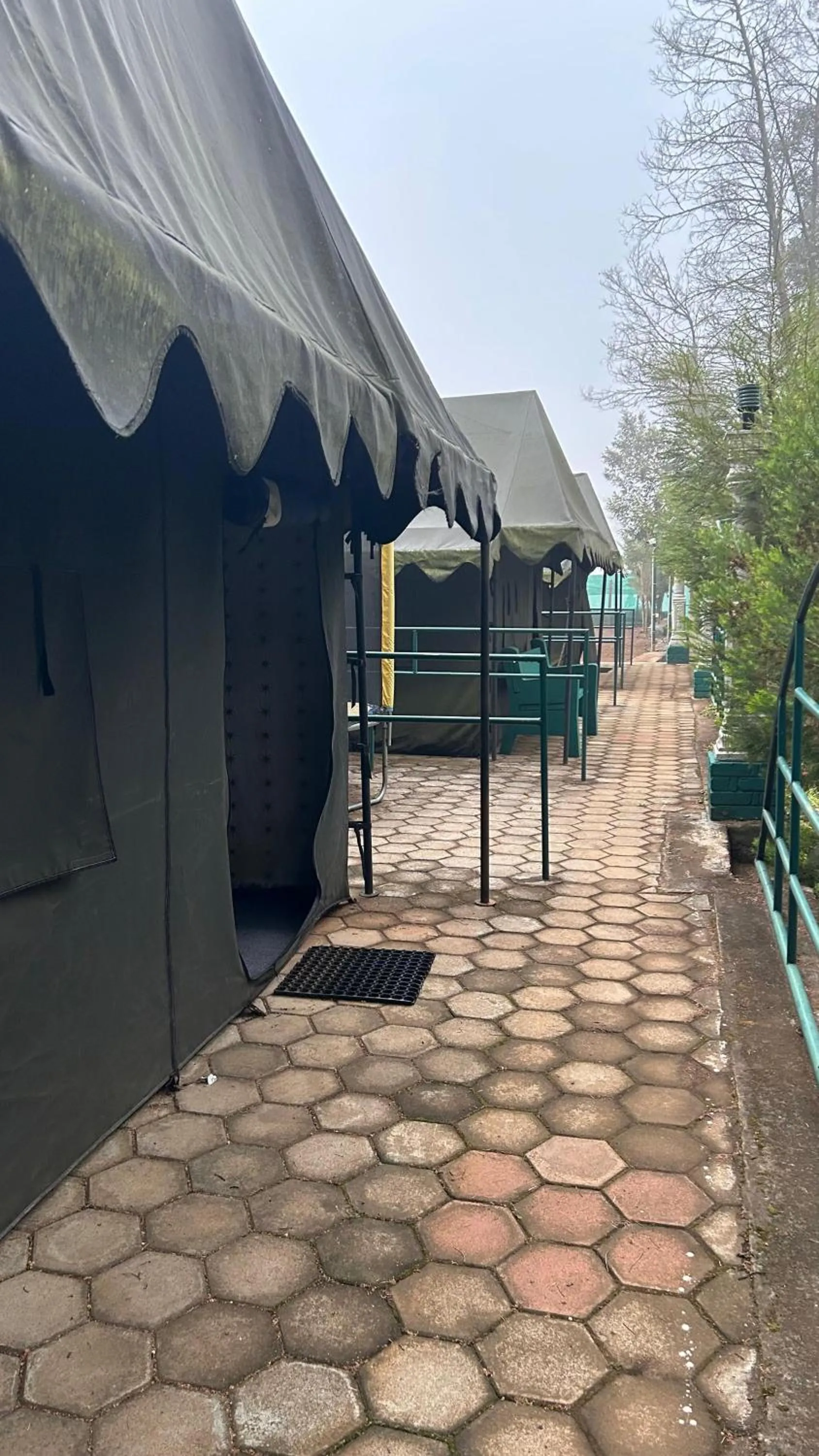 The Den by Trees