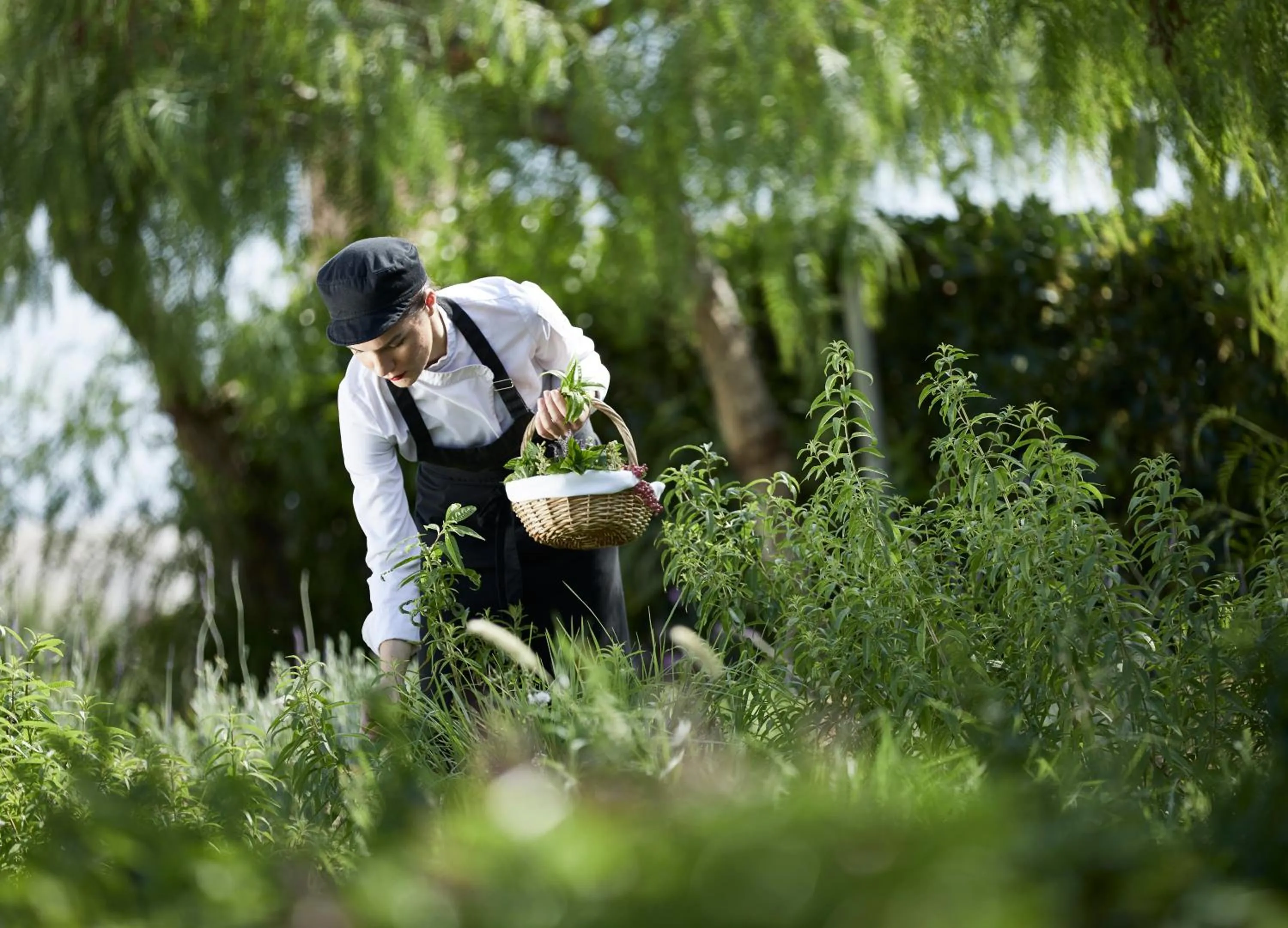 Staff in Boutique 5 Hotel & Spa - Adults Only