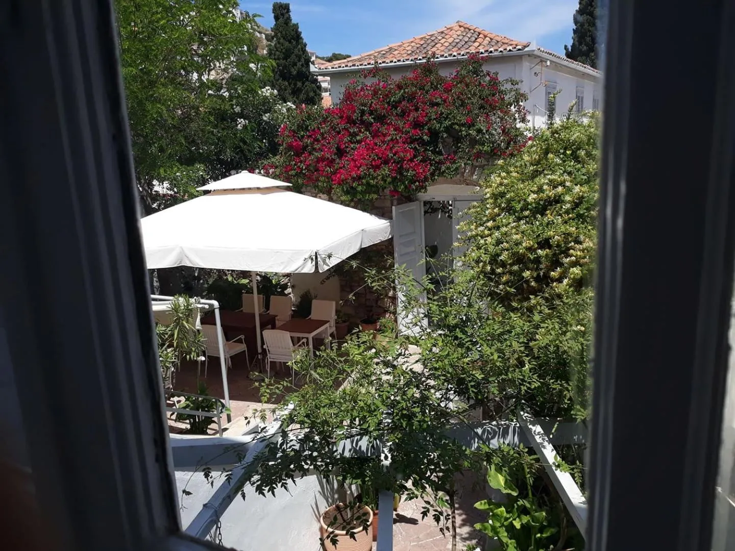 Garden view in Hotel Miranda