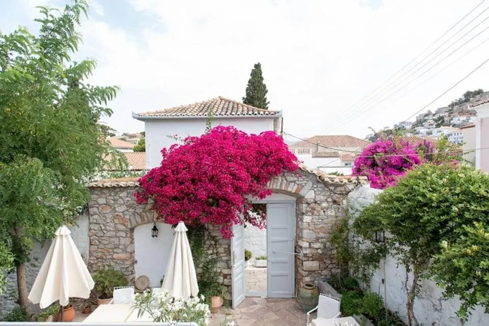 Garden in Hotel Miranda