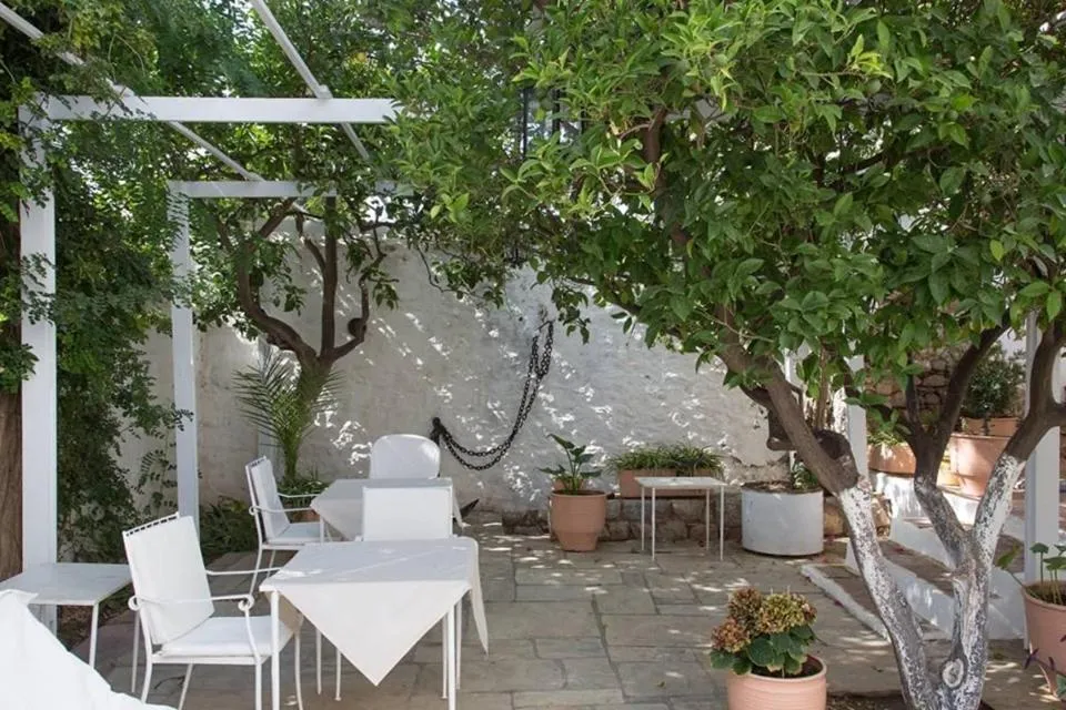 Garden in Hotel Miranda