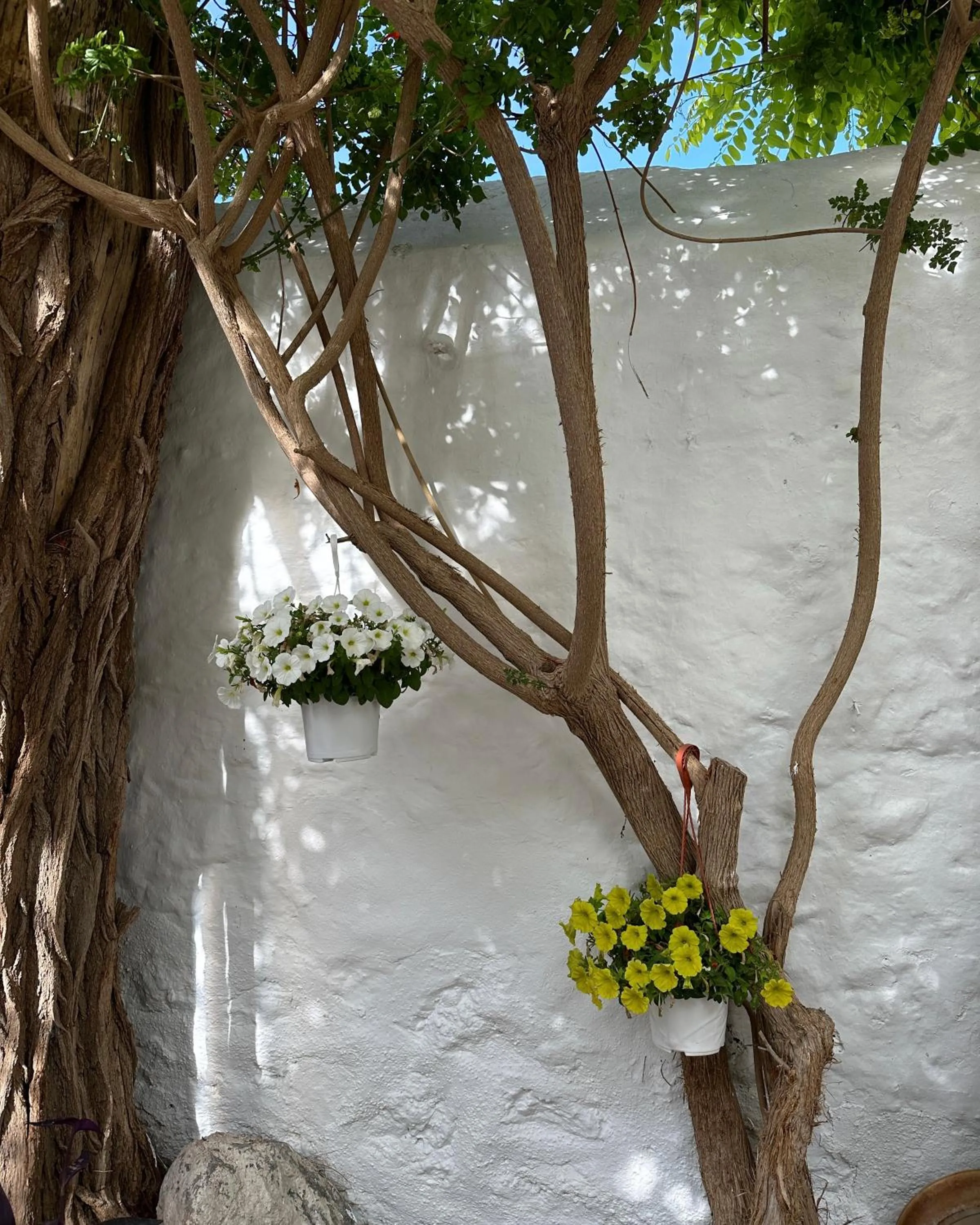 Property building in Hotel Miranda