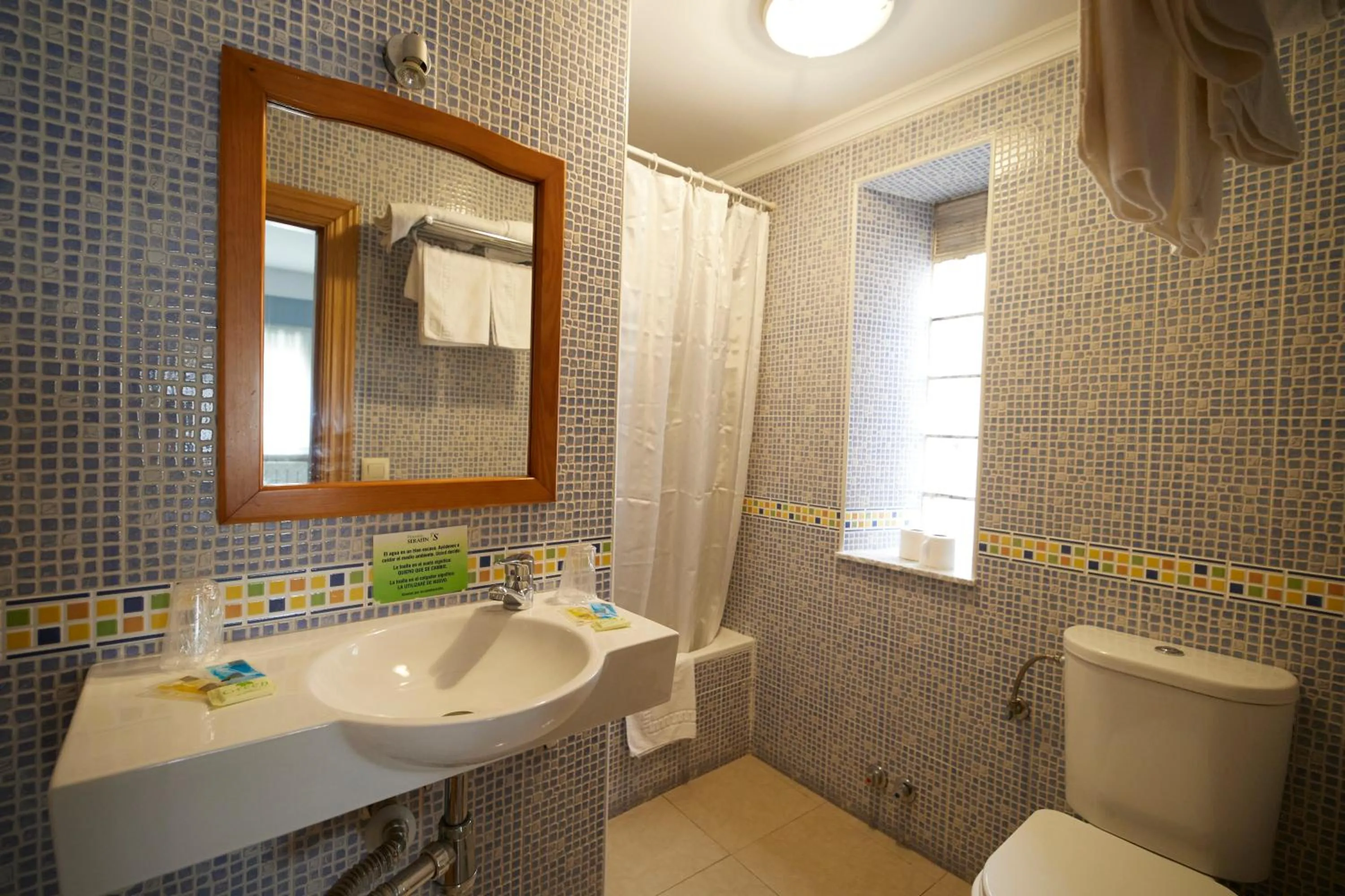Double Room - single occupancy in Pensión Serafín