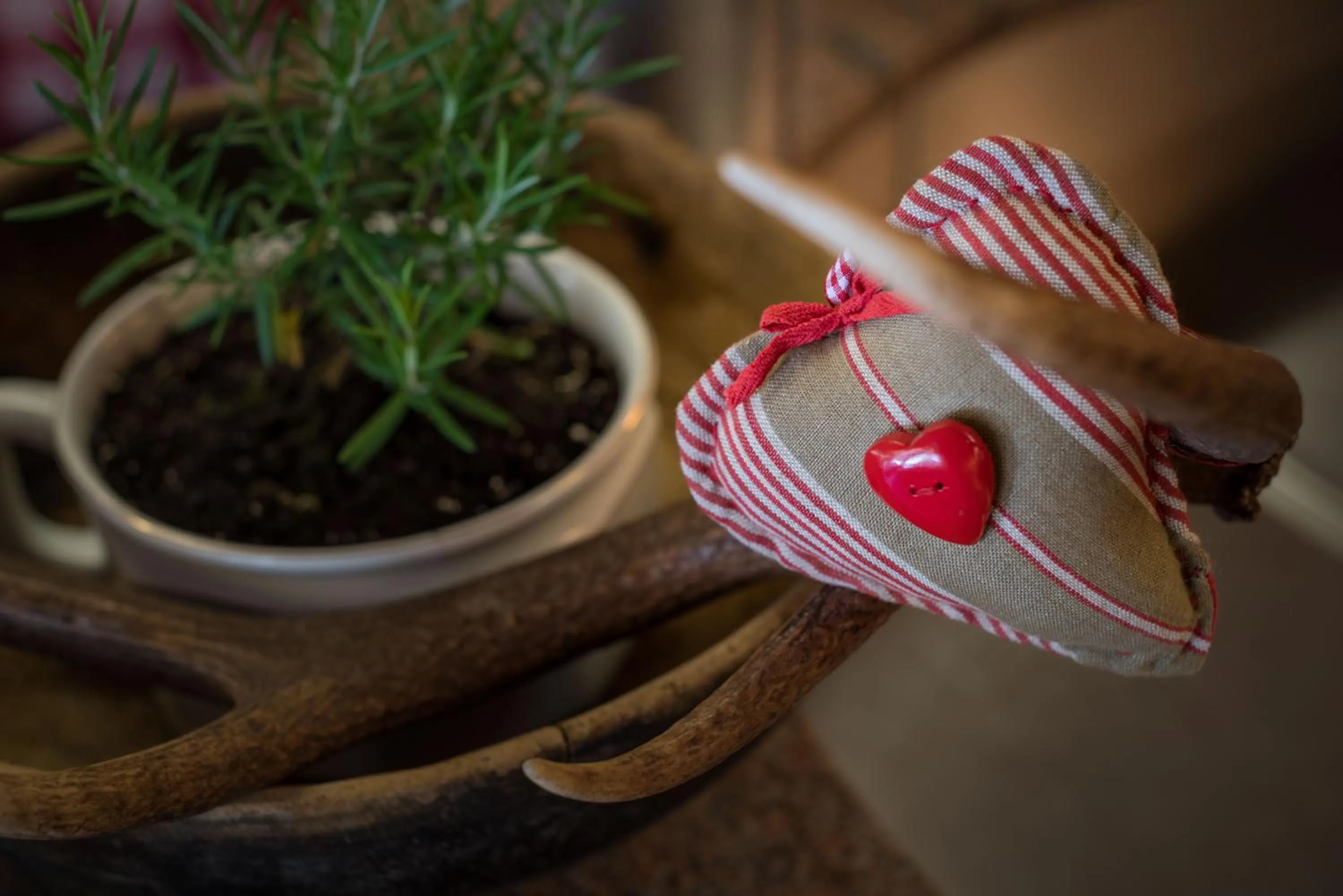 Summer in Hotel Alpenrast