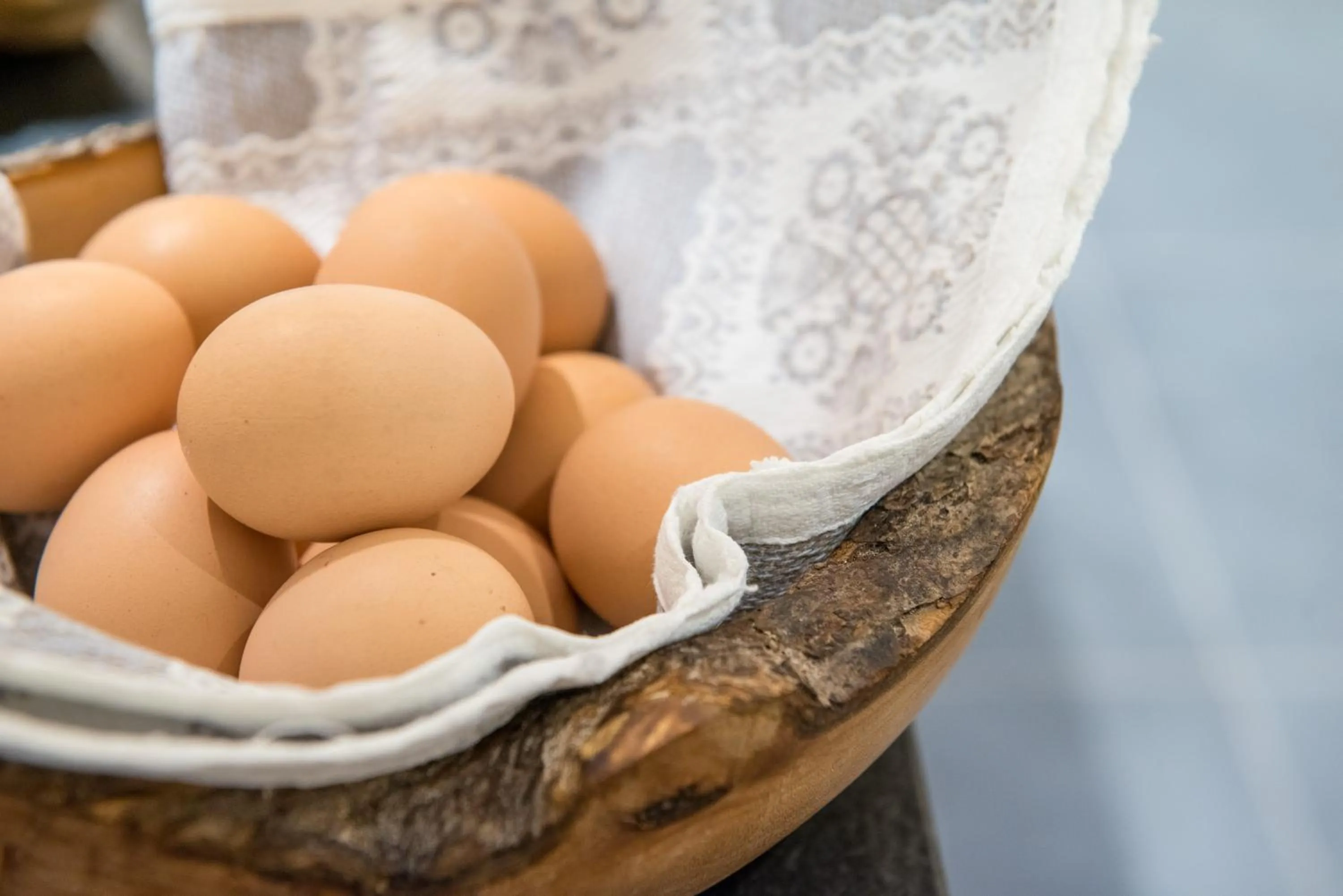 Food in Hotel Alpenrast