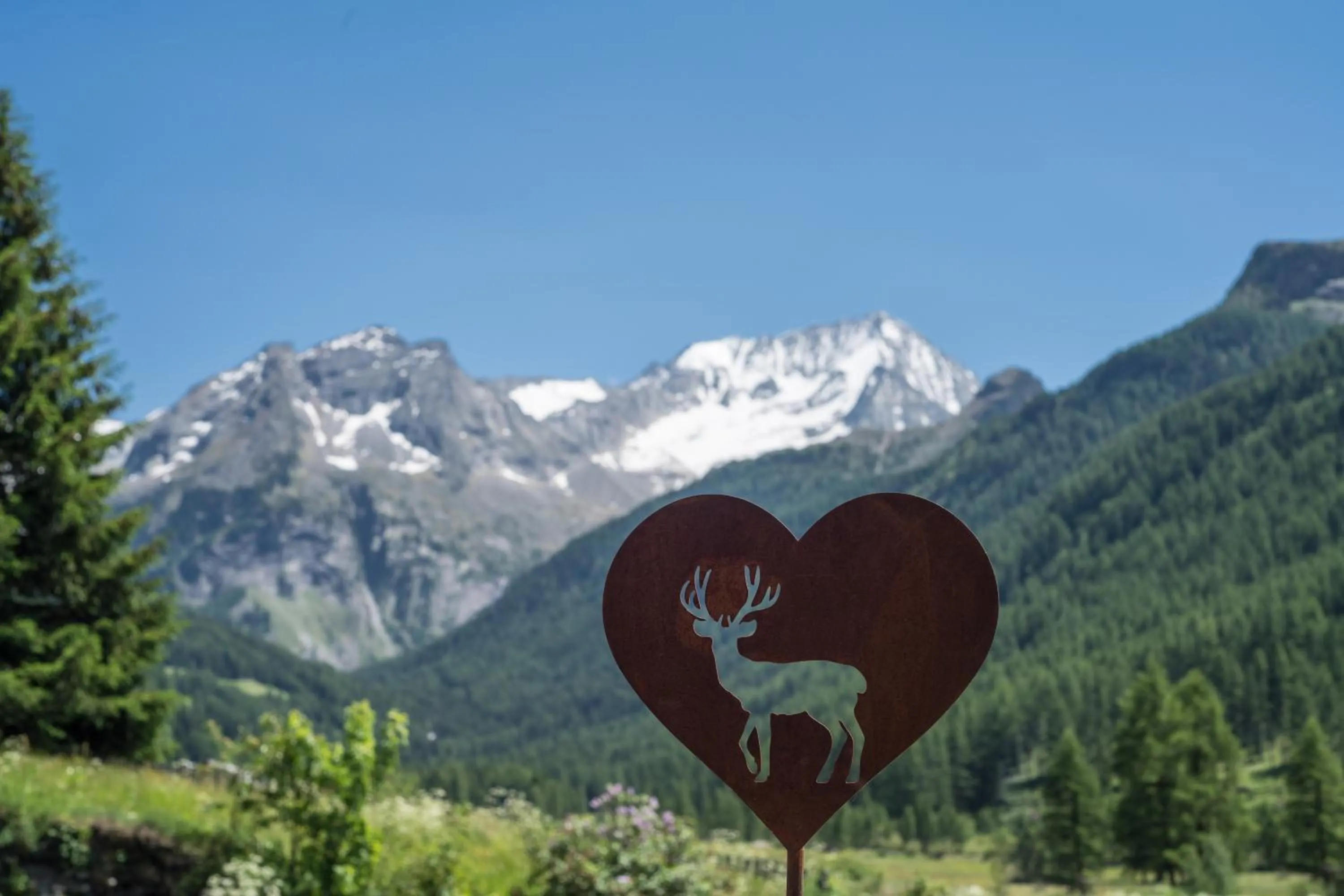 Natural landscape in Hotel Alpenrast