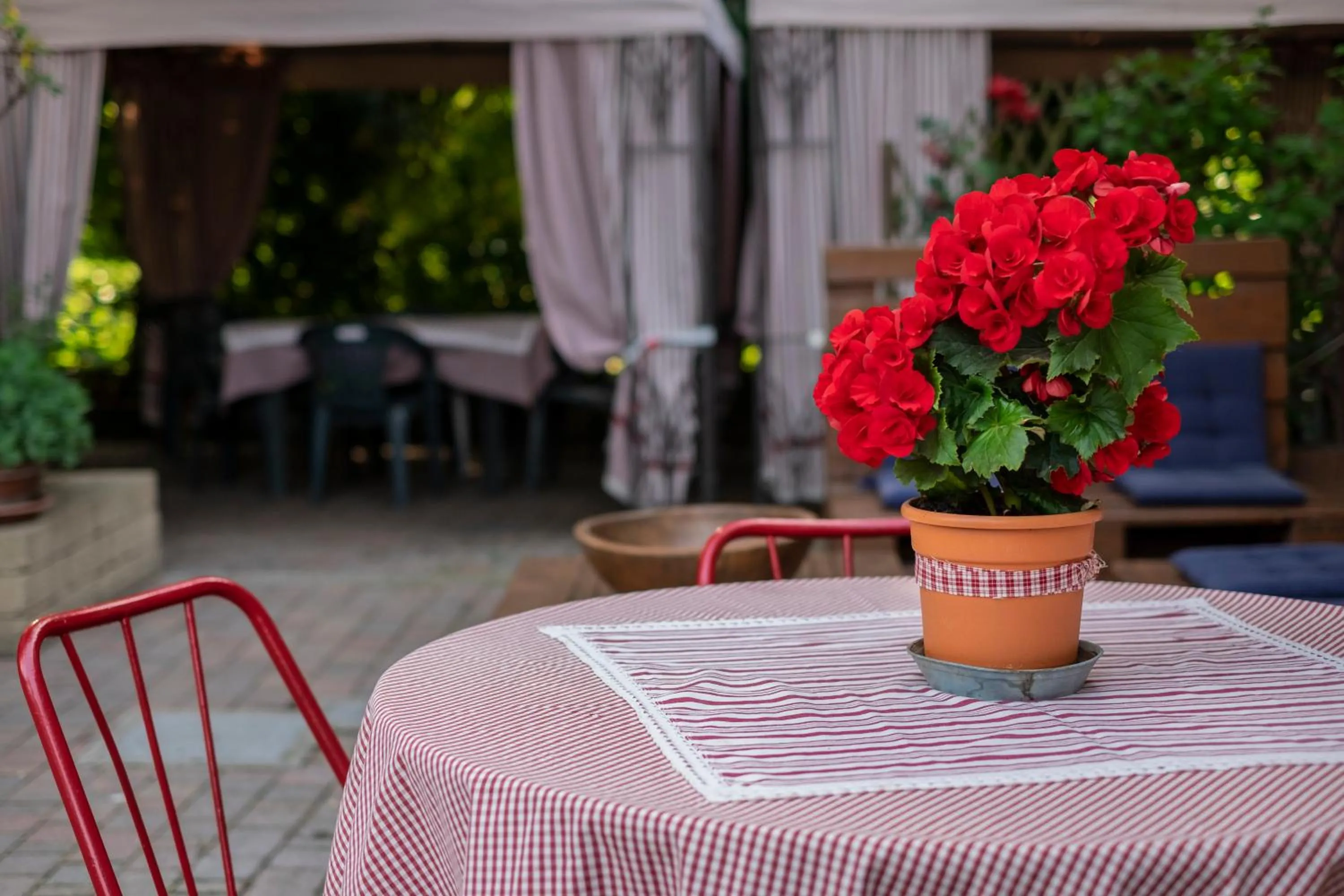 Garden in Ai Due Pini B&B