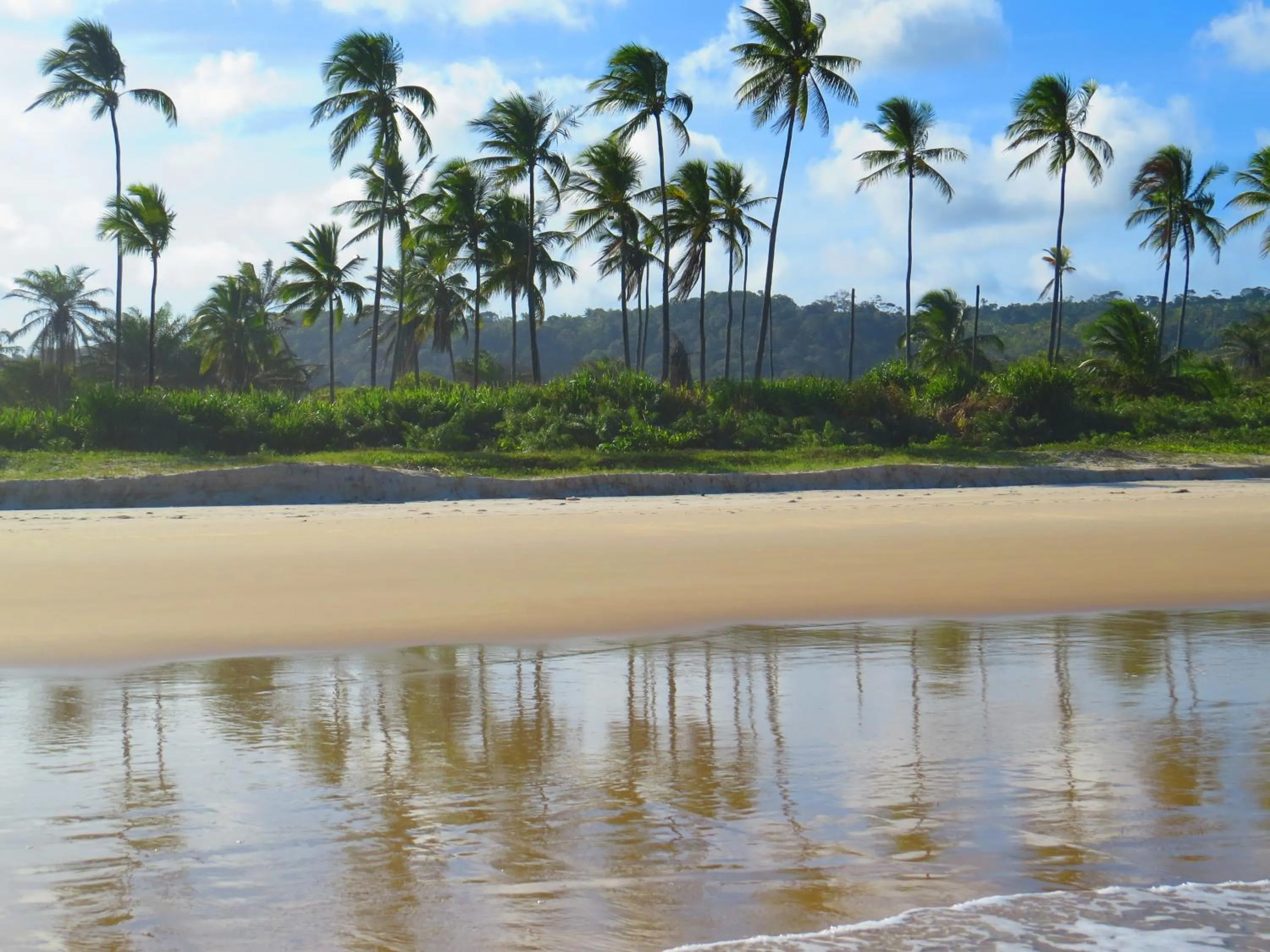 View (from property/room) in Ilheus North Hotel