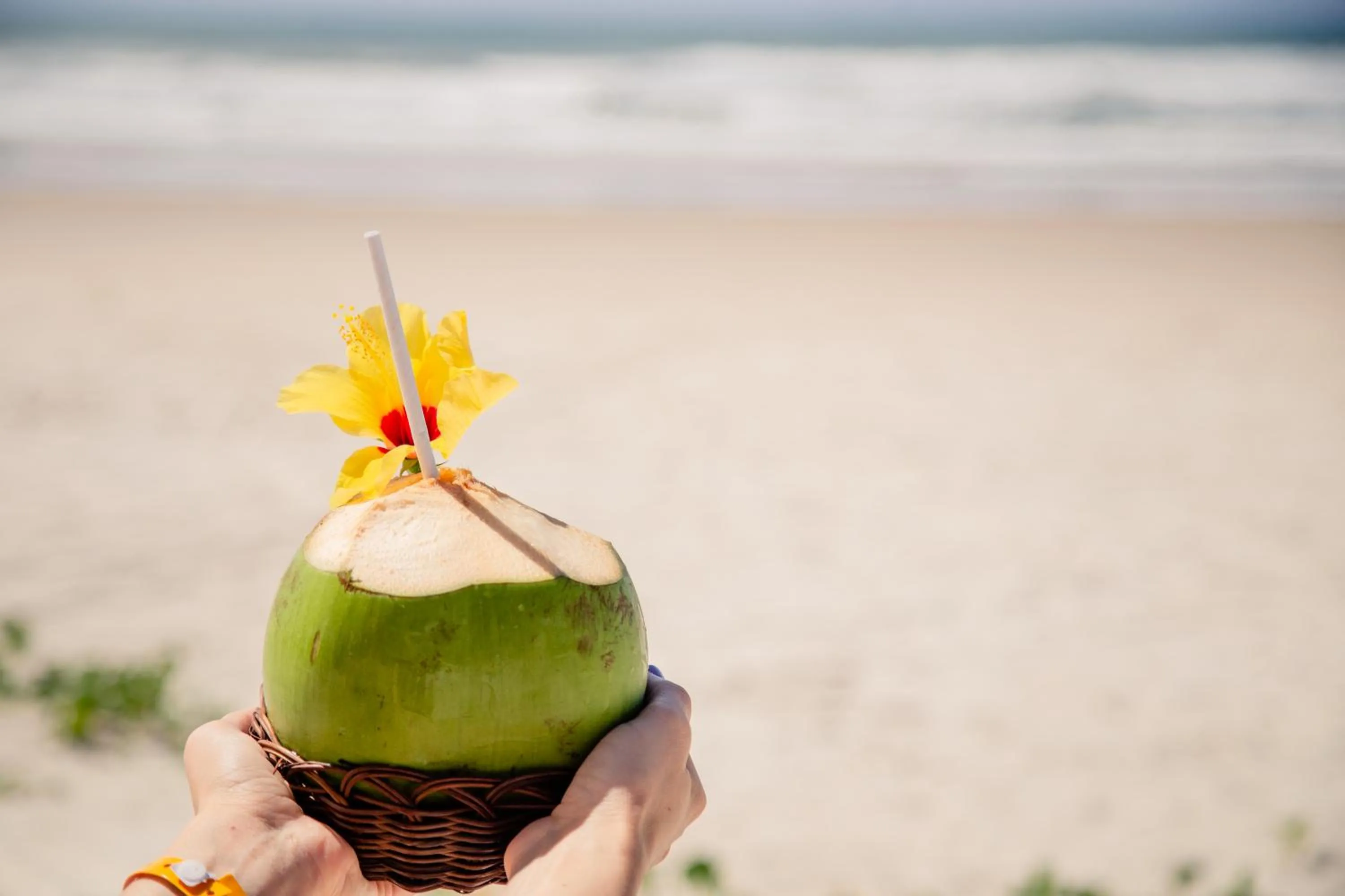 Beach in Ilheus North Hotel