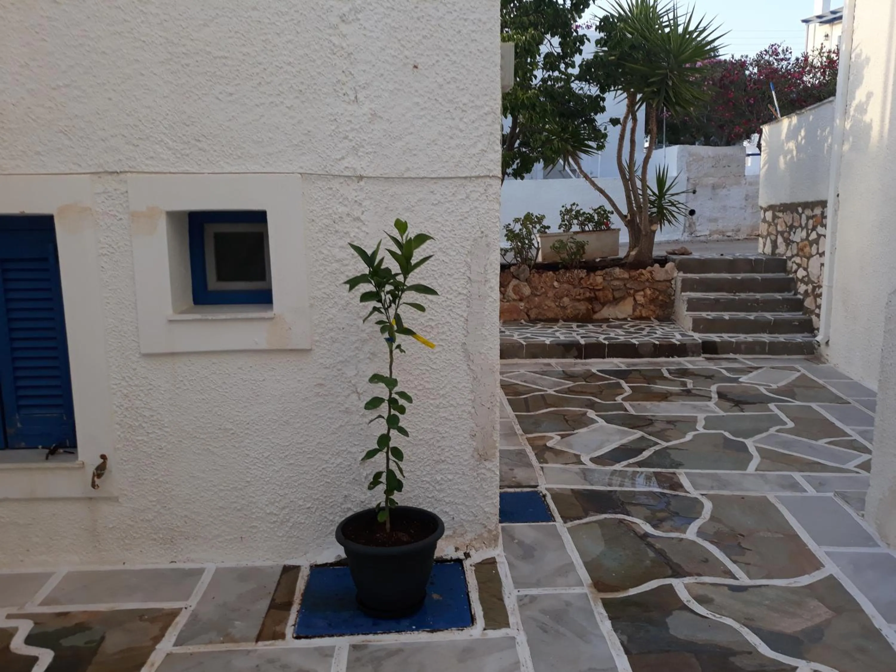 Holidays in Paros
