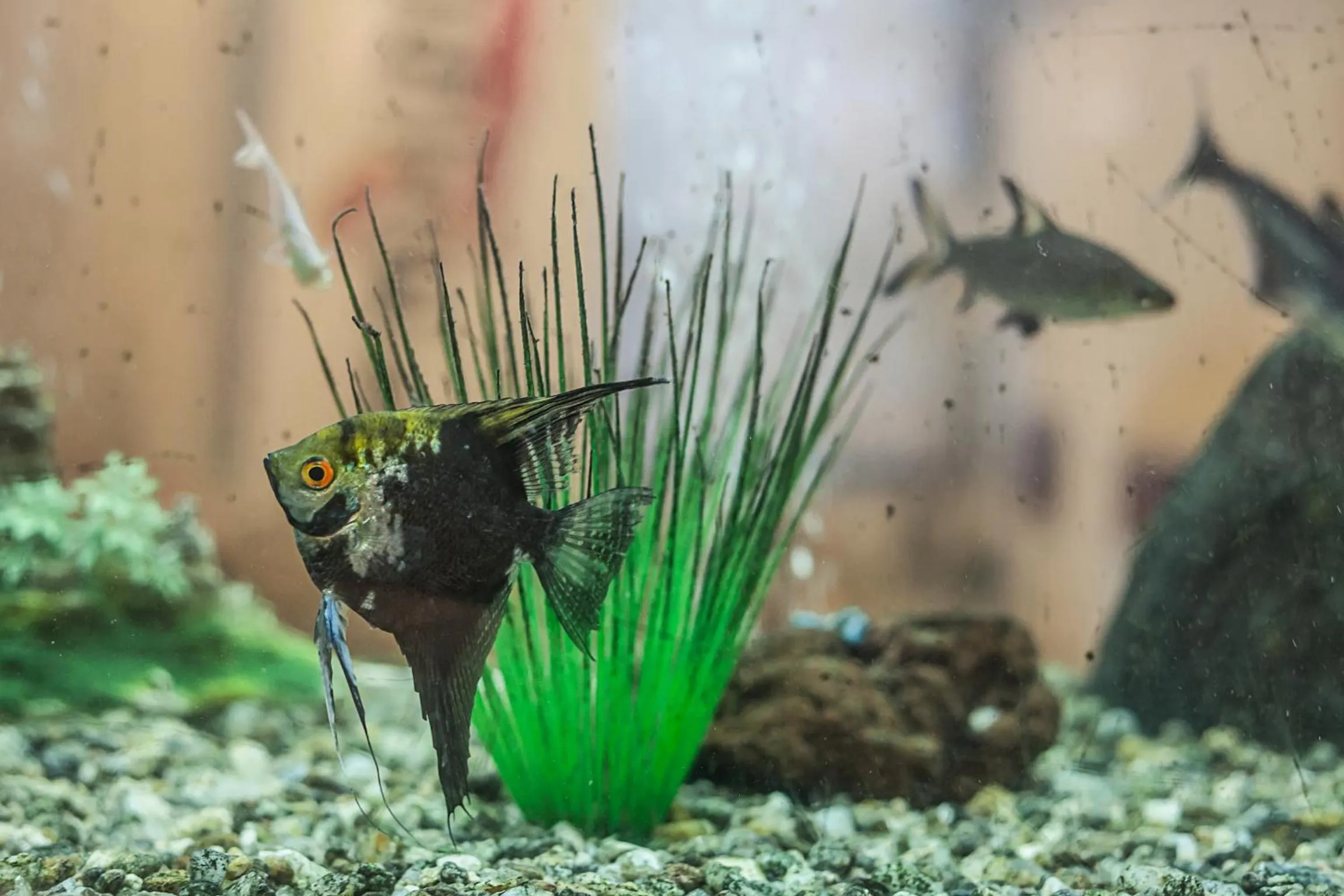 Lobby or reception in Urban Hostel & Apartments