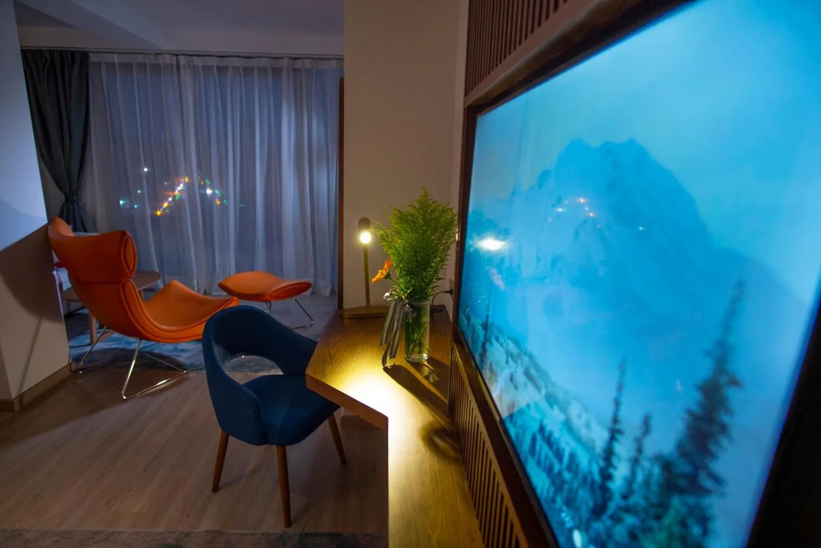TV and multimedia in Hotel Drim & SPA
