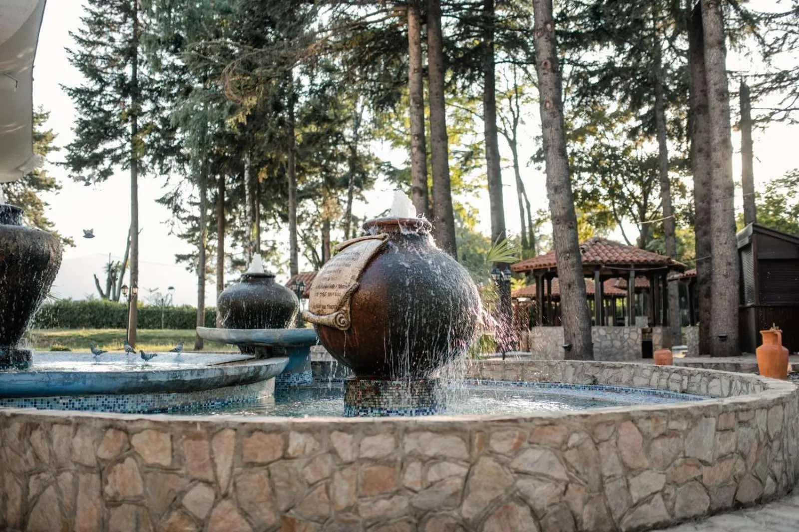 Day in Hotel Drim & SPA