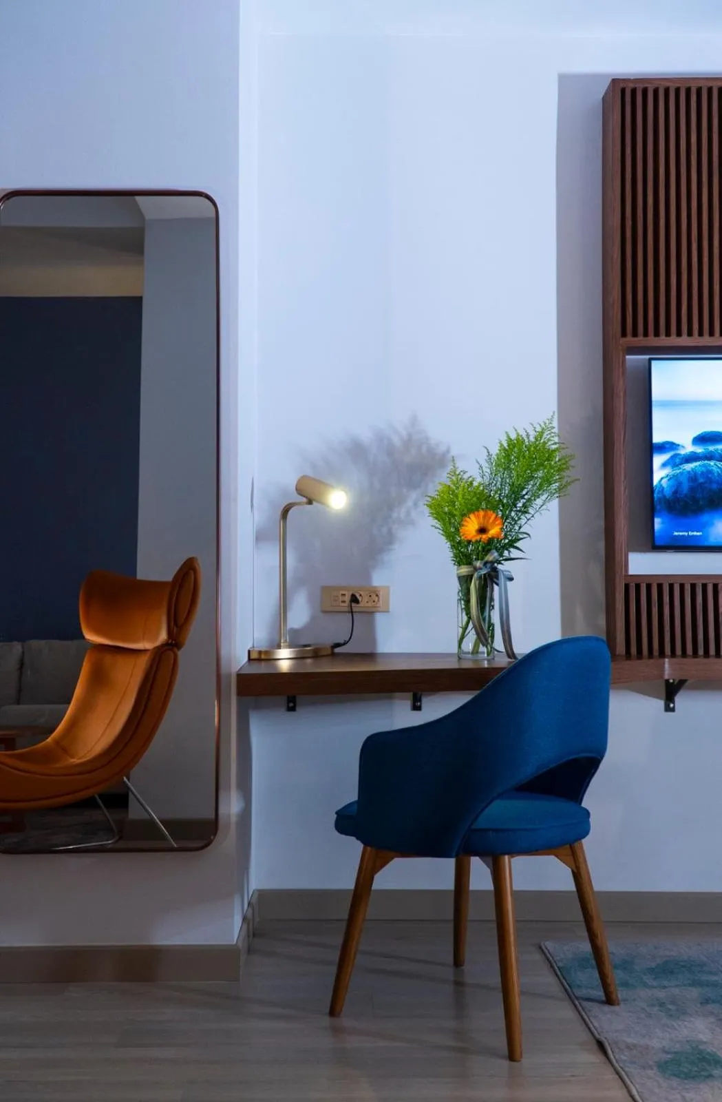 TV and multimedia in Hotel Drim & SPA