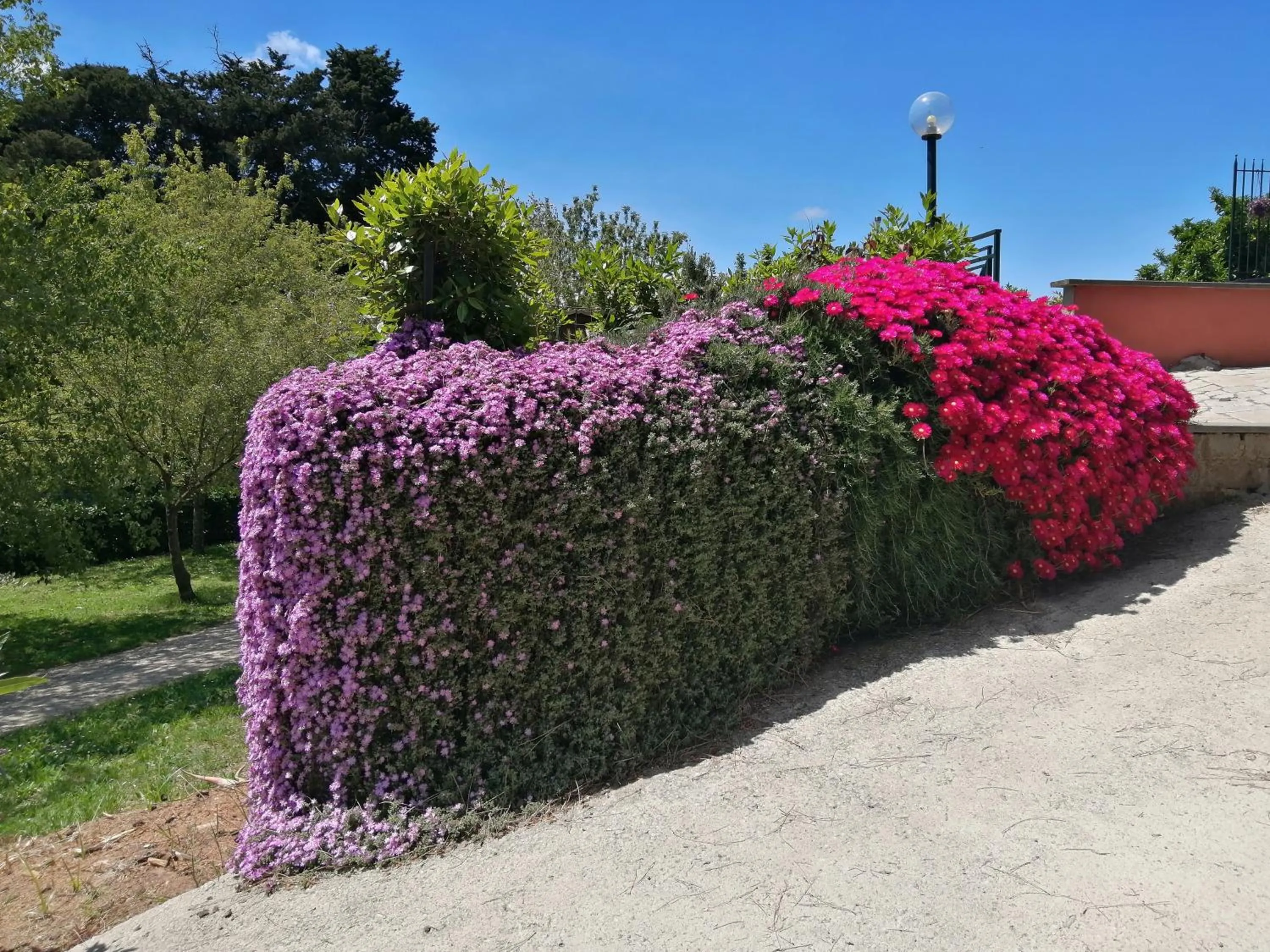 Garden in Vigna dell'Agrifoglio Home Residence di Eugenio Azzolini