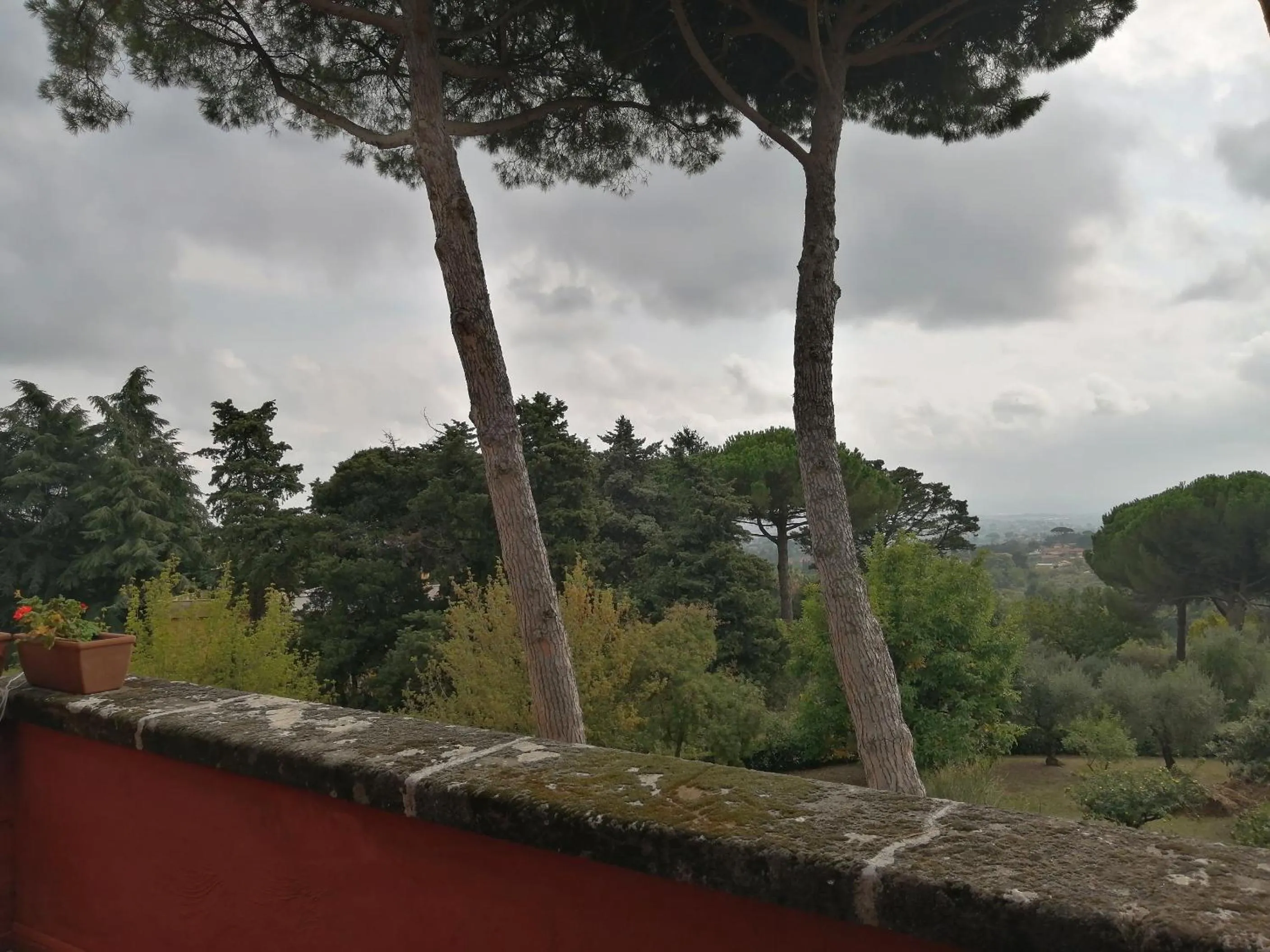 View (from property/room) in Vigna dell'Agrifoglio Home Residence di Eugenio Azzolini