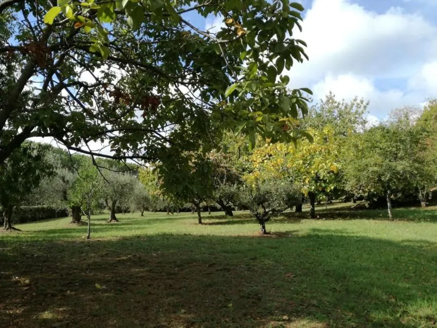 Garden in Vigna dell'Agrifoglio Home Residence di Eugenio Azzolini
