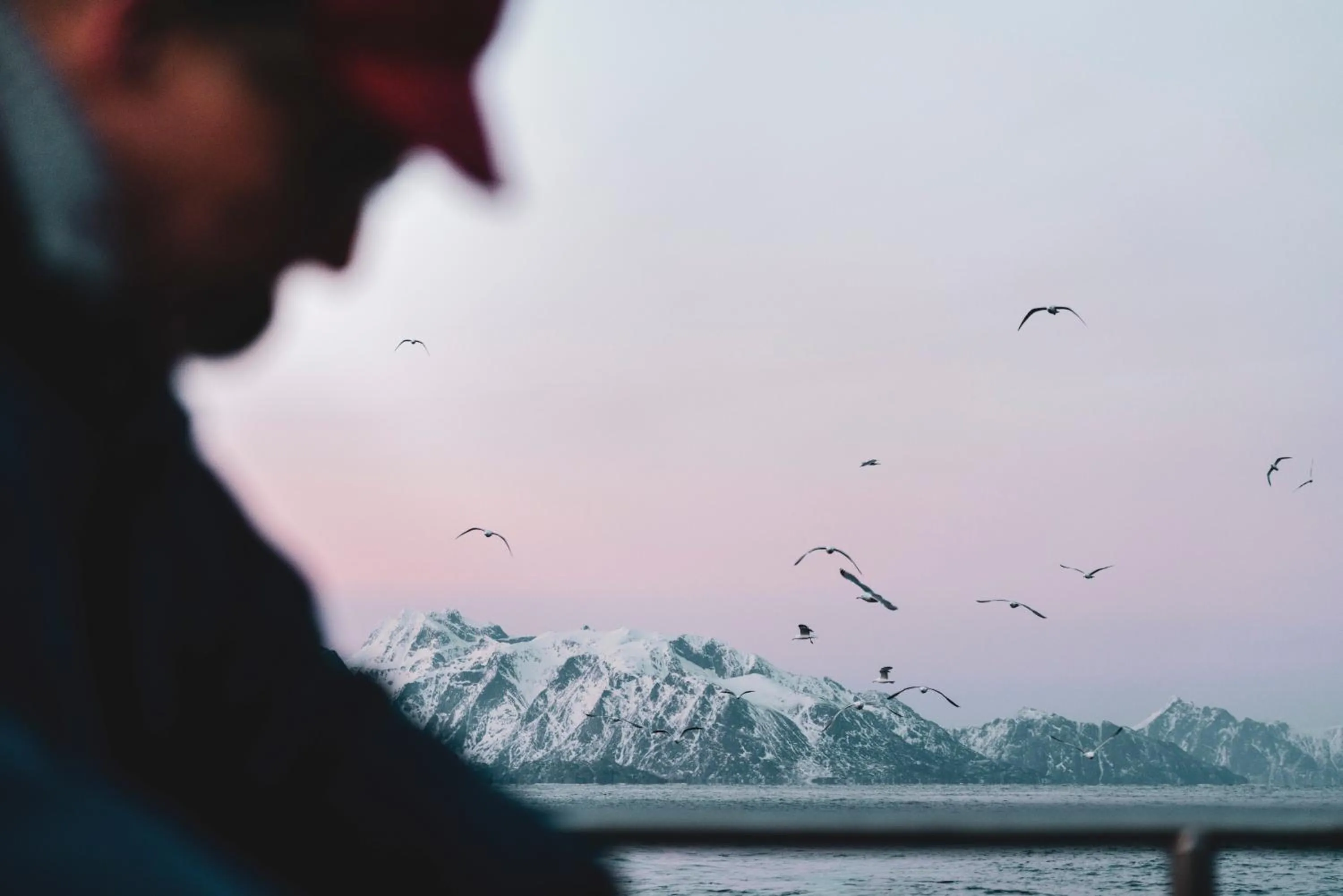 Holmen Lofoten