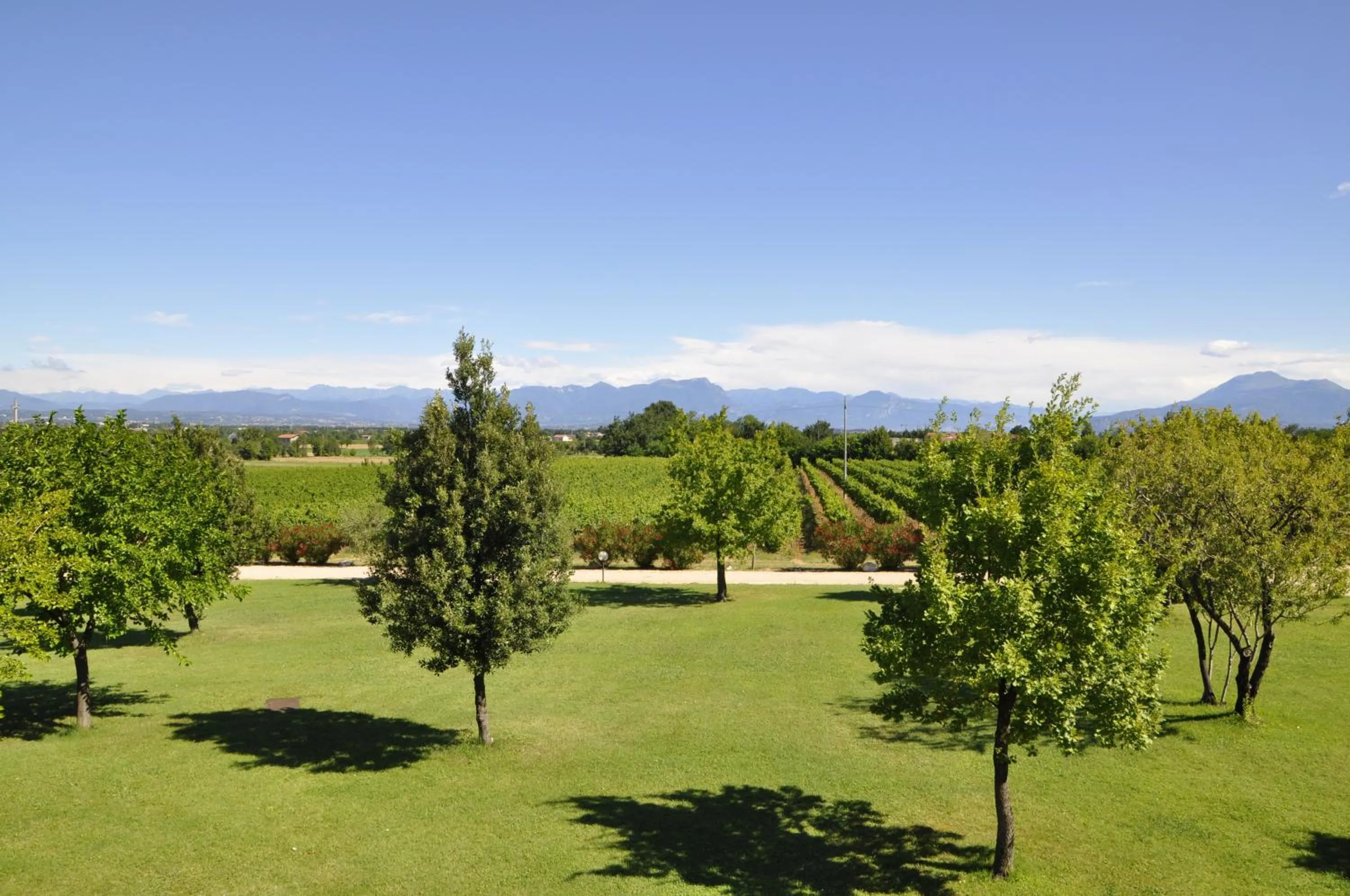 Garden in Borgo San Donino