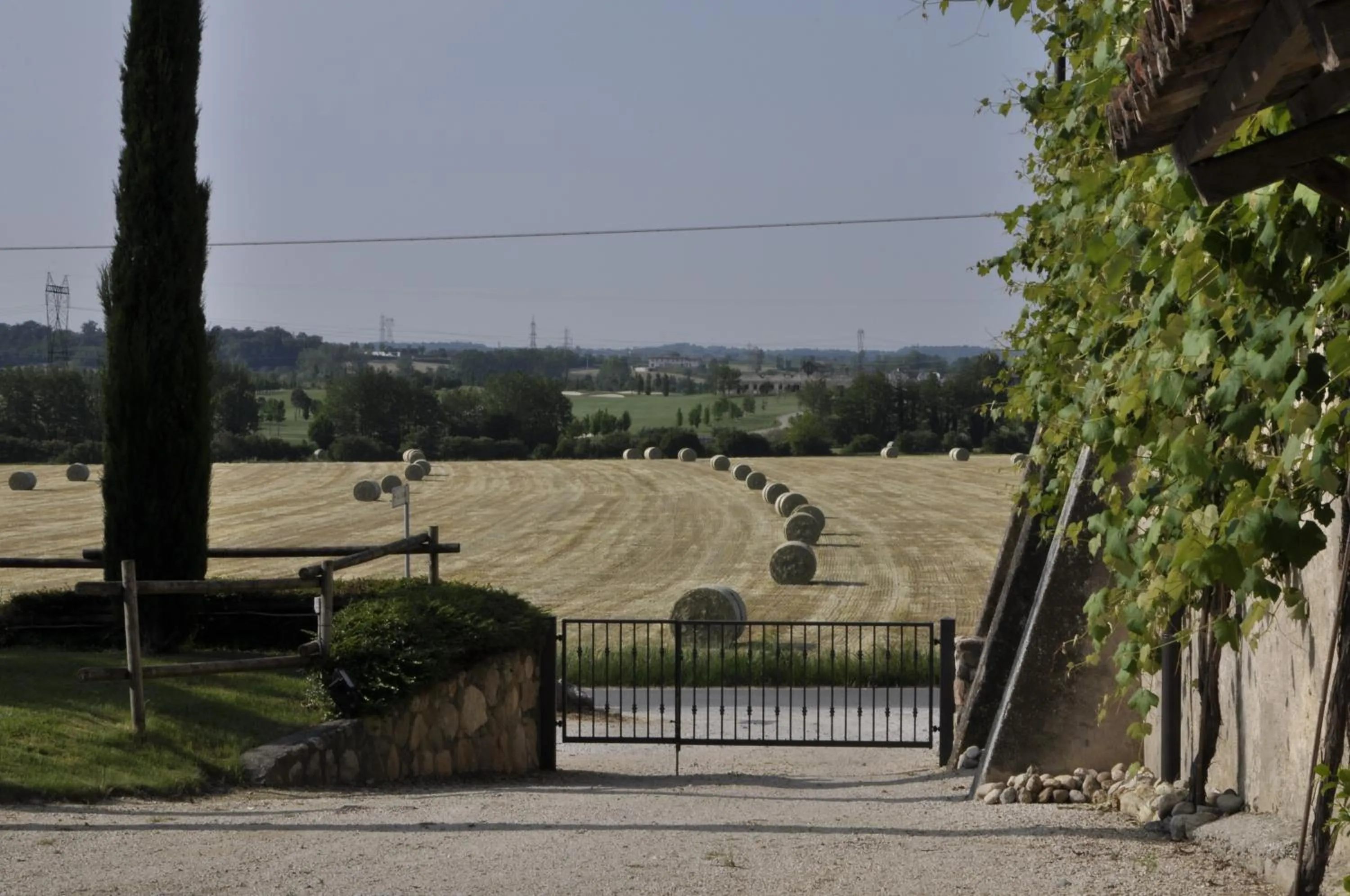 Street view in Borgo San Donino