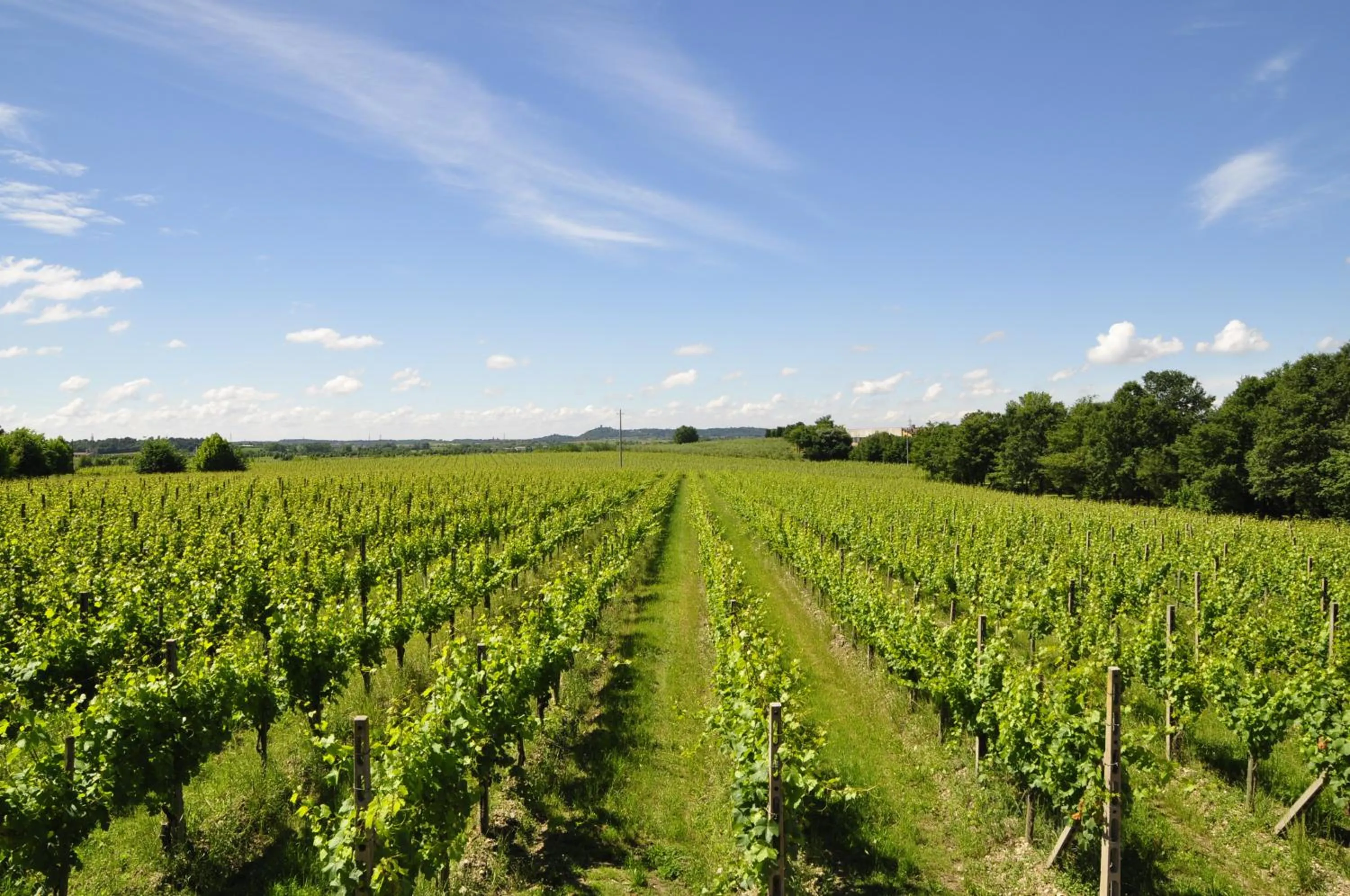 Garden view in Borgo San Donino