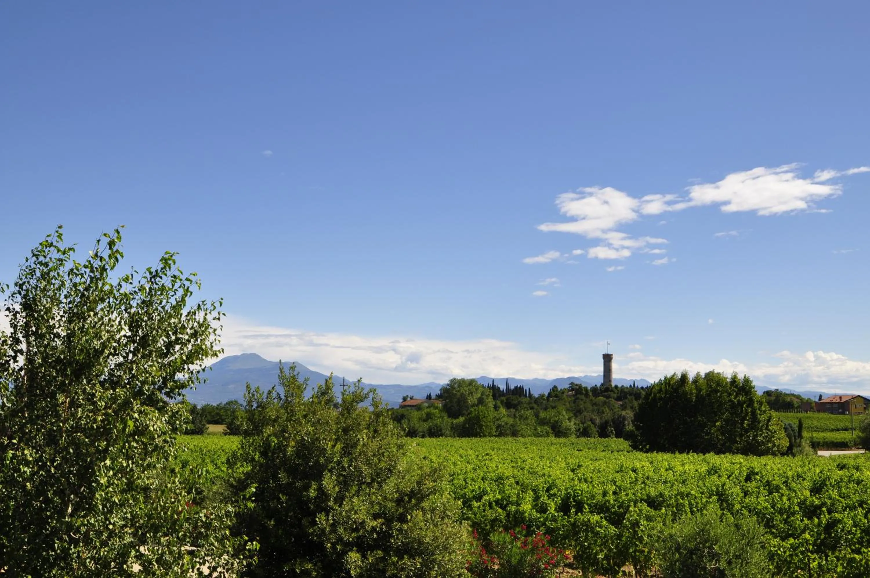 Mountain view in Borgo San Donino