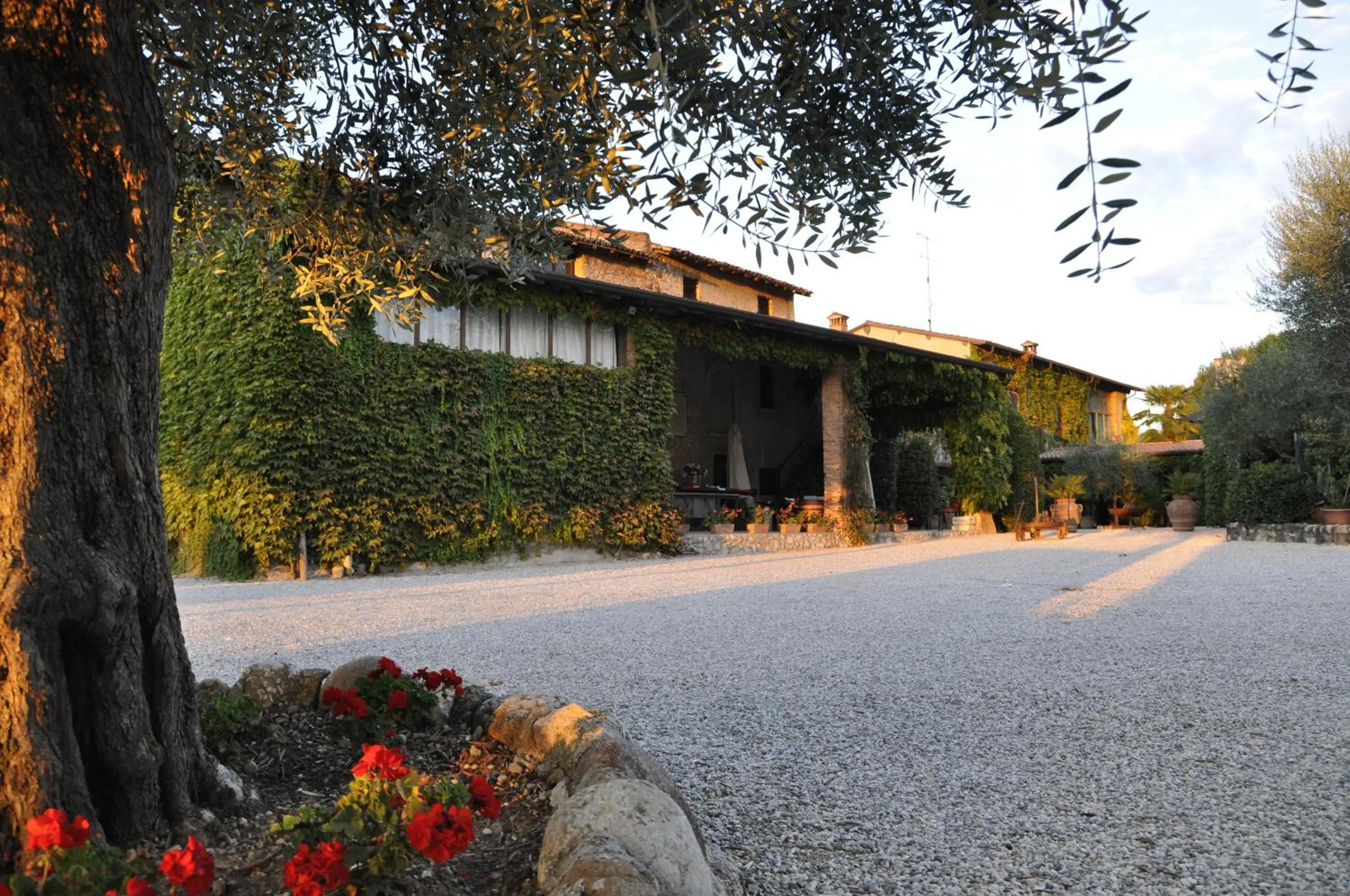 Restaurant/places to eat in Borgo San Donino