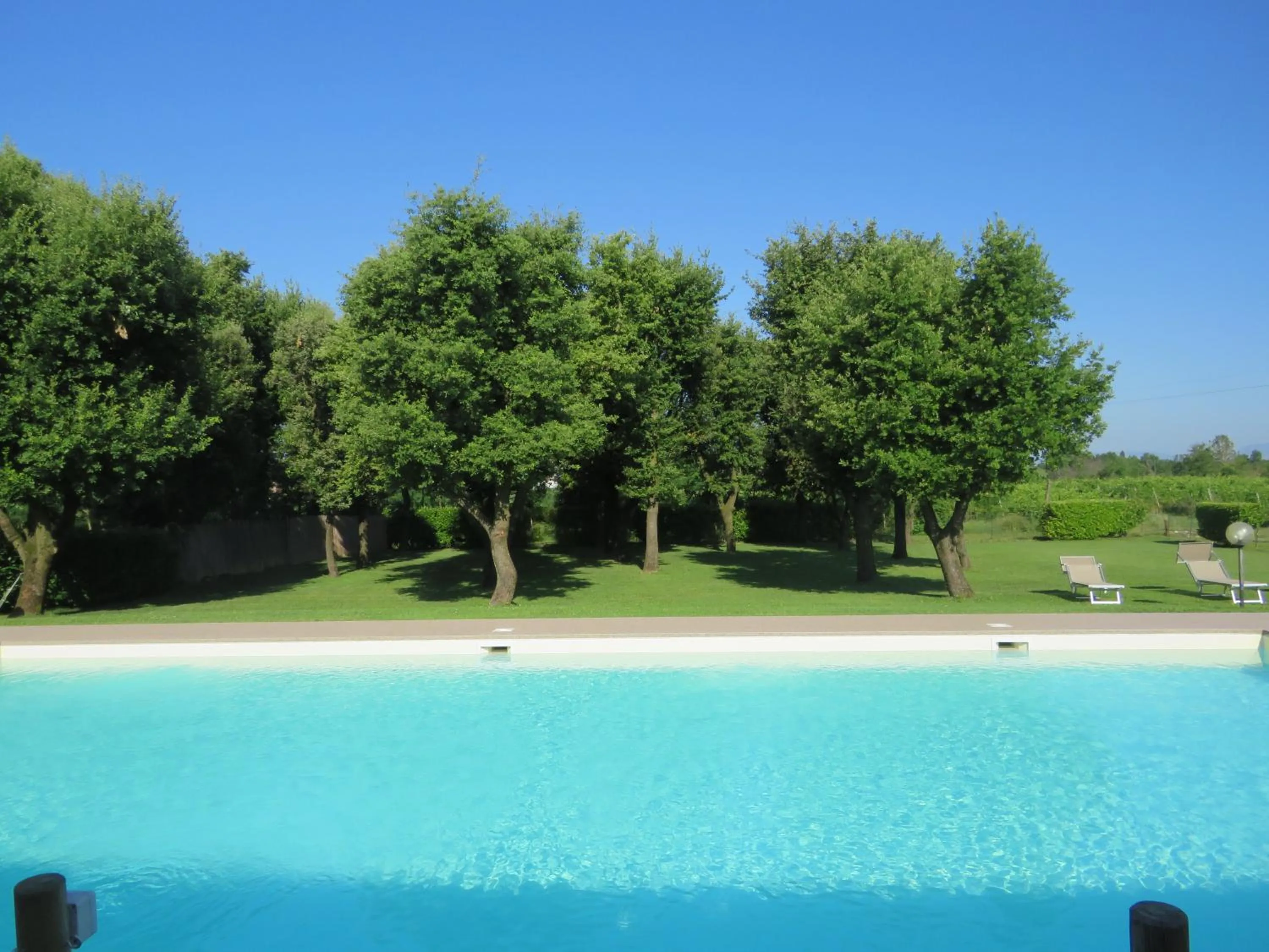 Swimming pool in Borgo San Donino