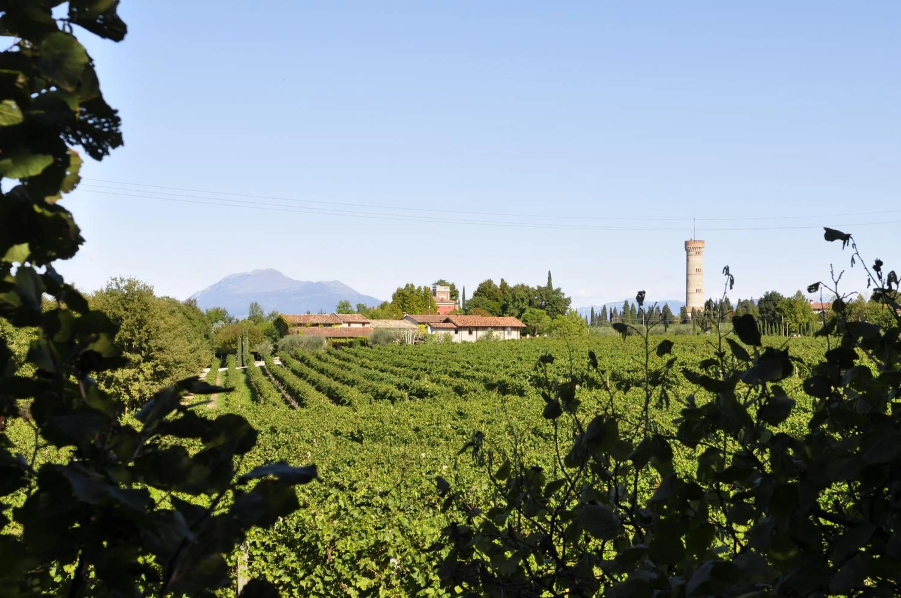 Natural landscape in Borgo San Donino
