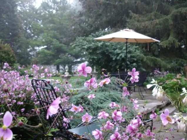 Historic Lyons House