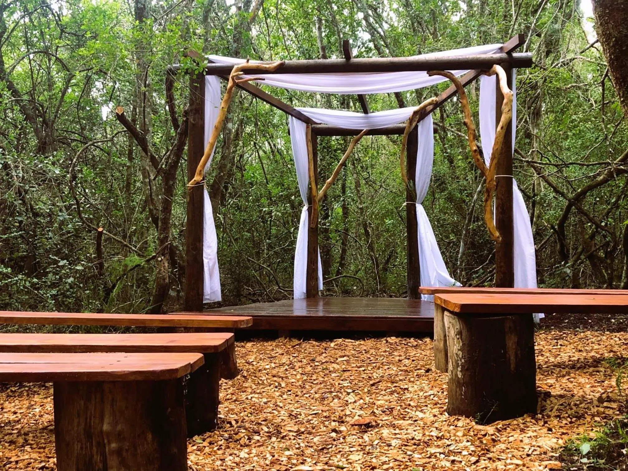 wedding in Teniqua Treetops
