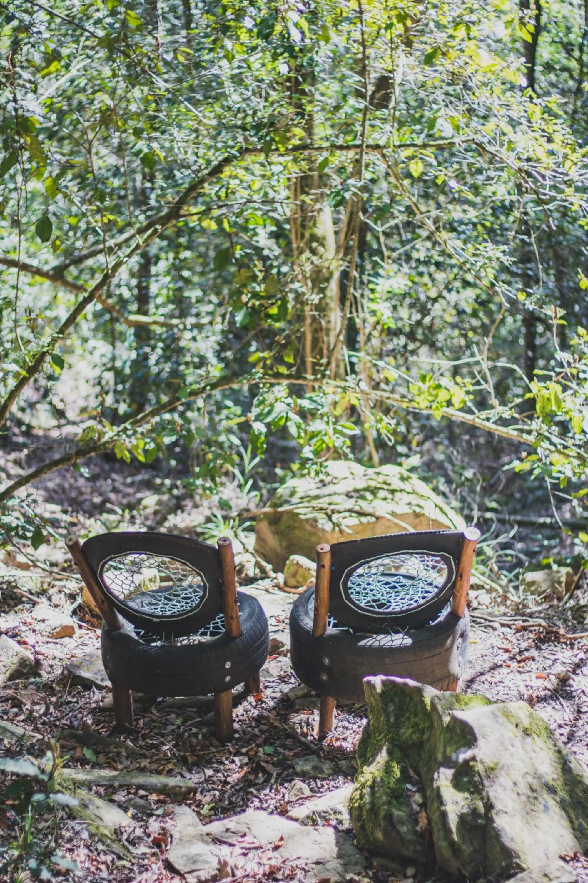 Hiking in Teniqua Treetops
