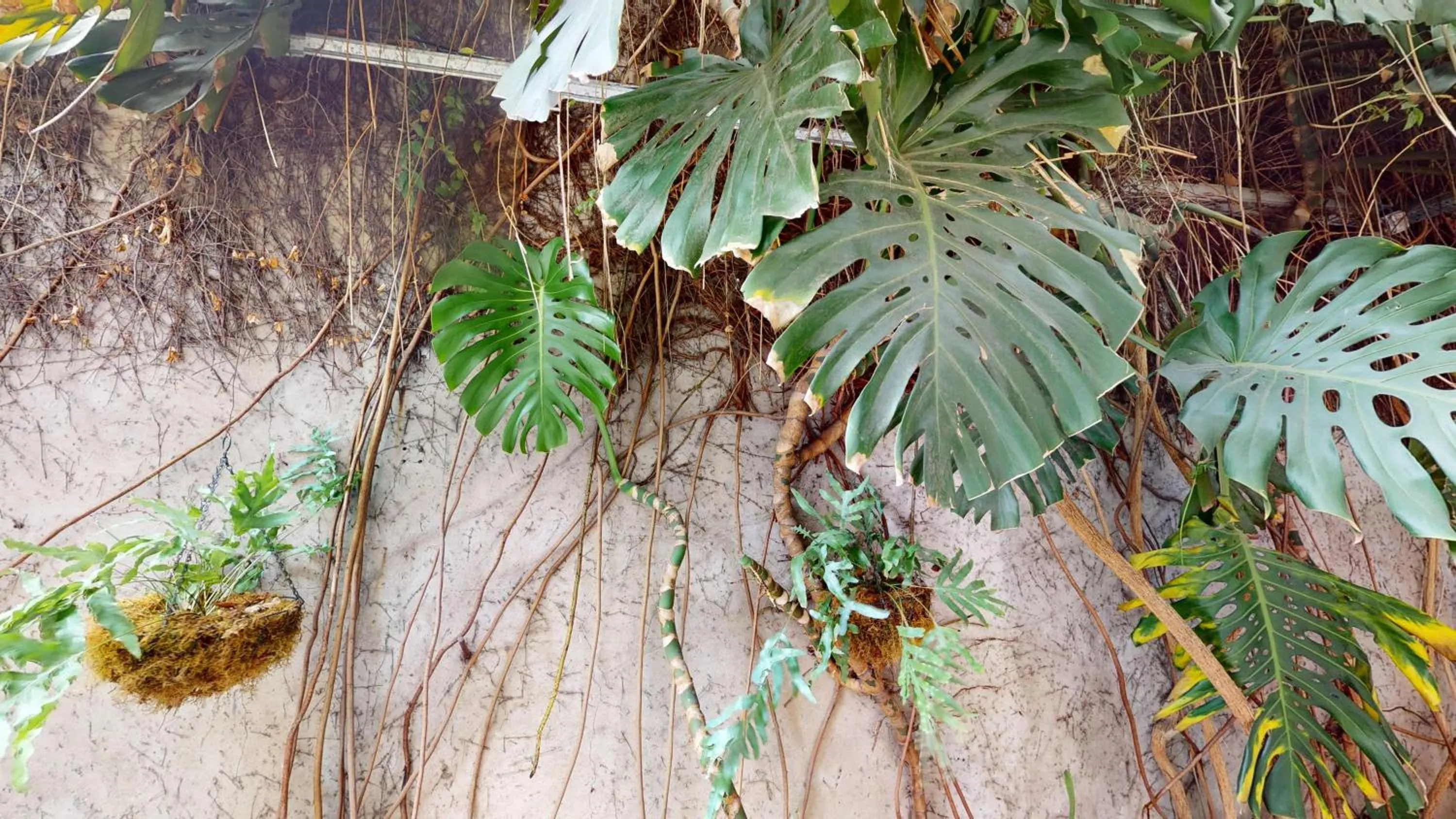 Natural landscape in BENS L'Hôtel Palermo